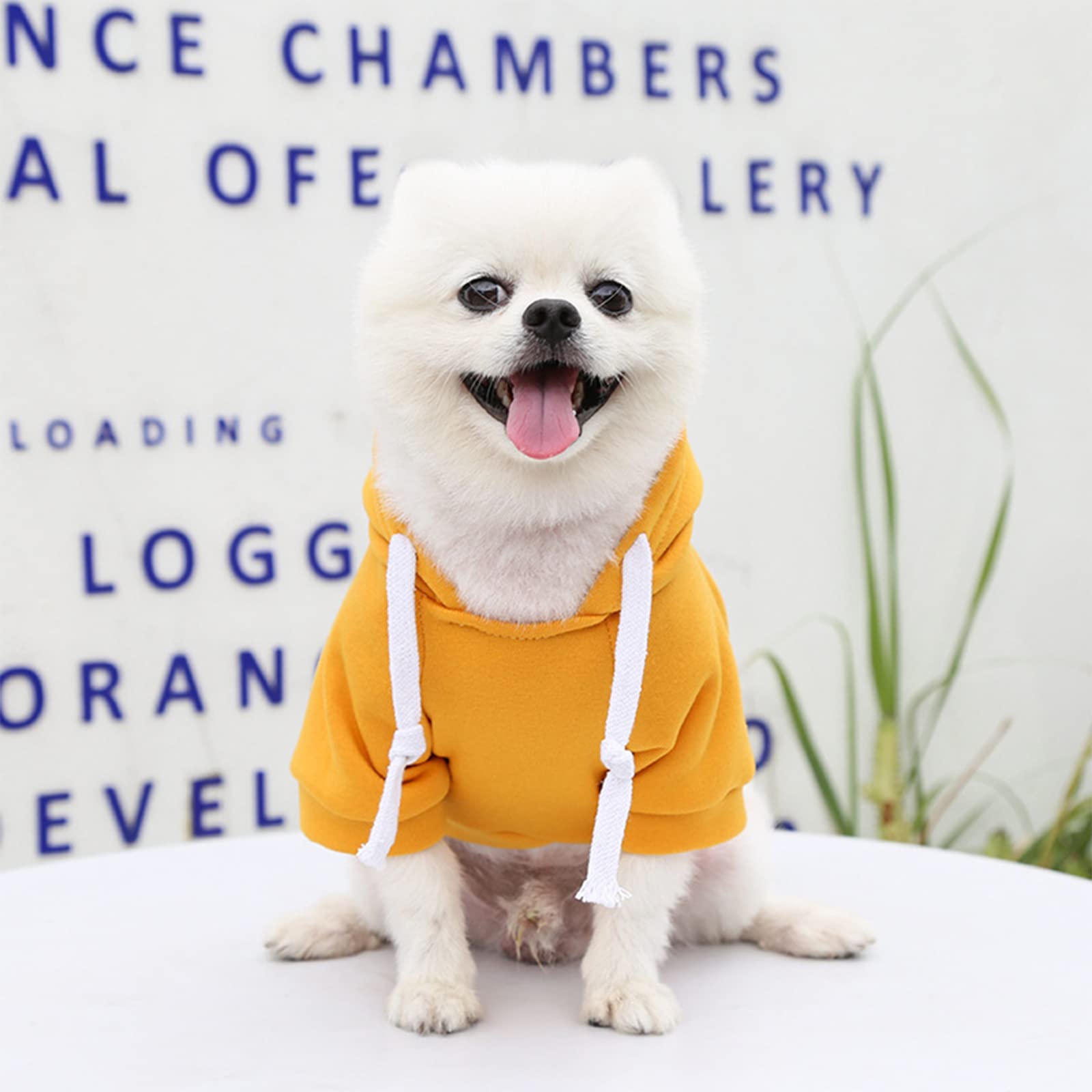 Petcare Dog Hoodies Pet Small Dog Sweater Yellow Warm Soft Fleece Sweatshirts With Pocket Winter Puppy Cat Sweaters Hooded Cloth