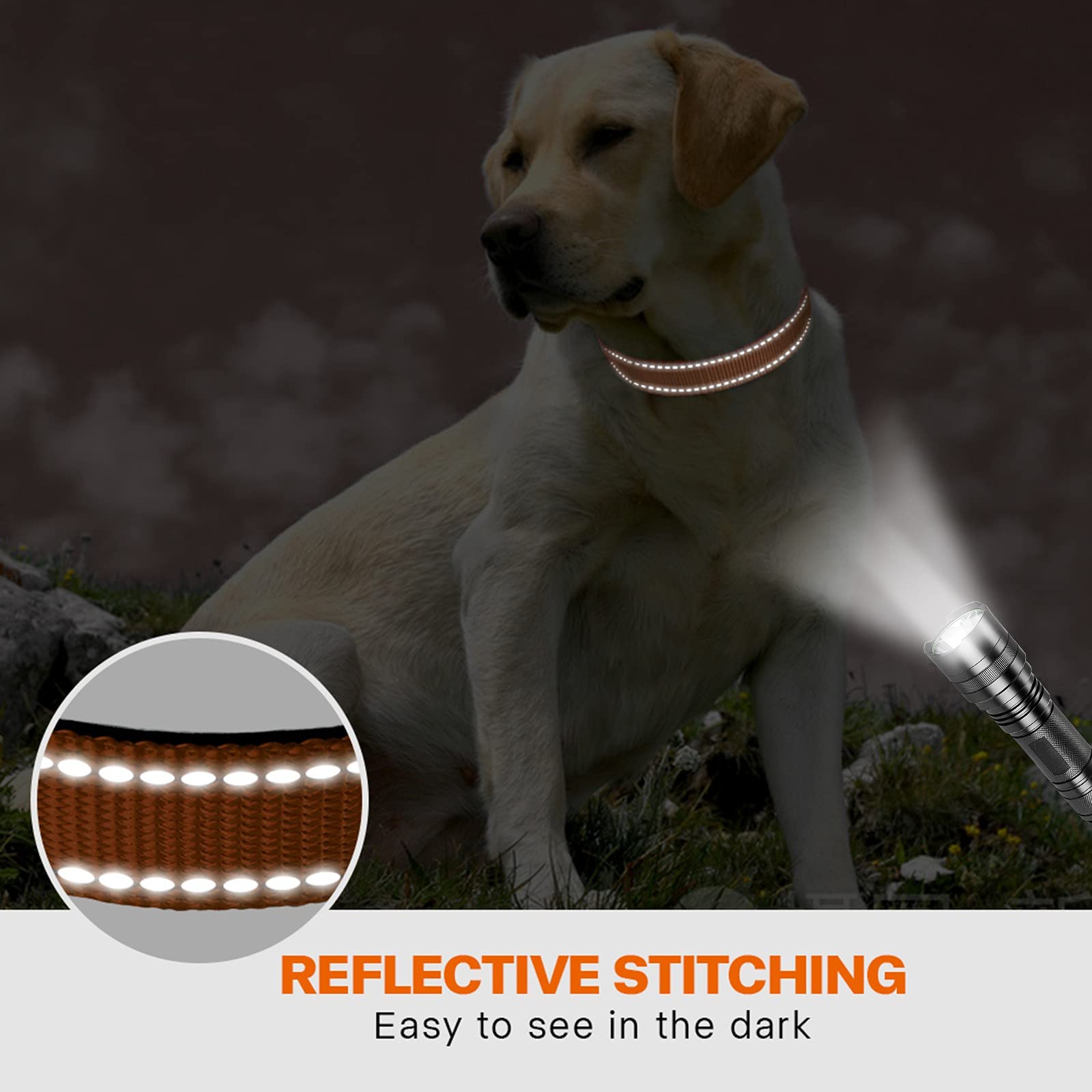 Taglory Reflective Dog Collar With Safety Locking Buckle, Adjustable Nylon Pet Collars For Extra Large Dogs Female Male, Tan, Xl