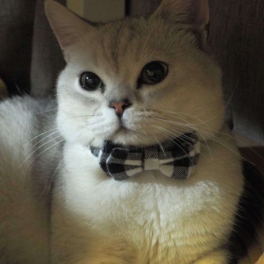 Cat Collar Breakaway With Bell And Bow Tie, Plaid Design Adjustable Safety Kitty Kitten Collars Set Of 2 Pcs(6.8-10.8In) (Red&Black Plaid)