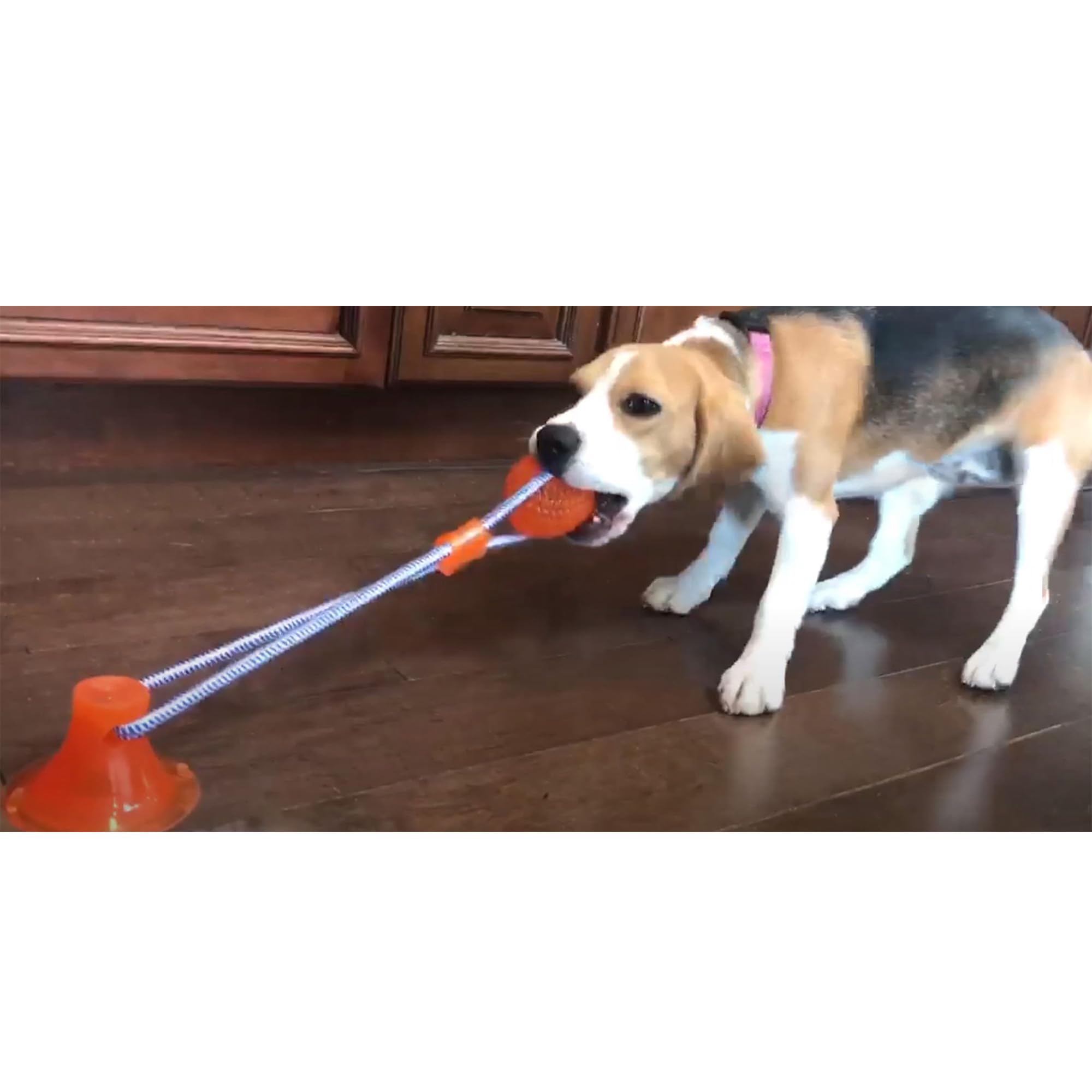 SPOT Press & Pull Interactive Dog Toy 17''