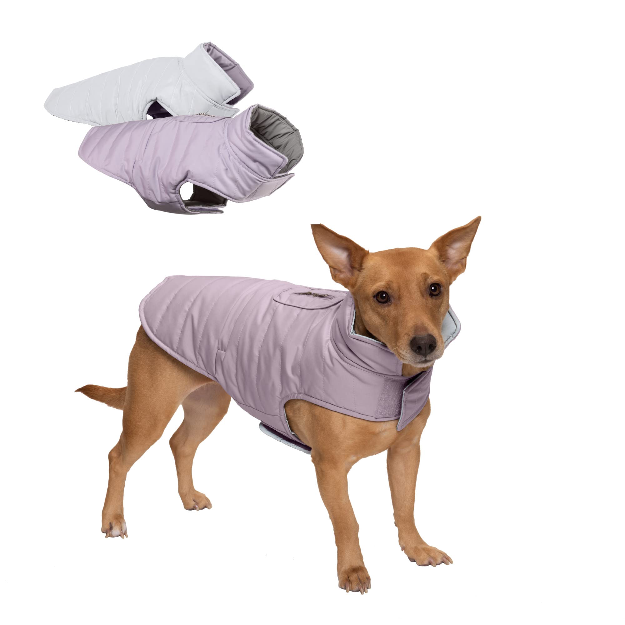 Furhaven Water-Repellent & Reversible Small Dog Coat, Washable & Reflective w/ Leash Access, Pocket, & Carry-On Purse - Puffer D