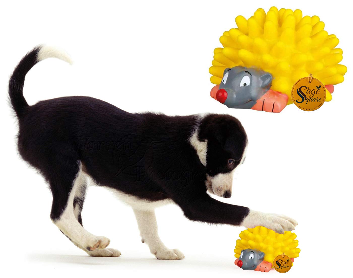 Sage Square Playful Procupine Squeaky Toy For Playtime Of Cute Friend Of Natural Rubber For Dog, Puppy, Kitten, Cat (Yellow)