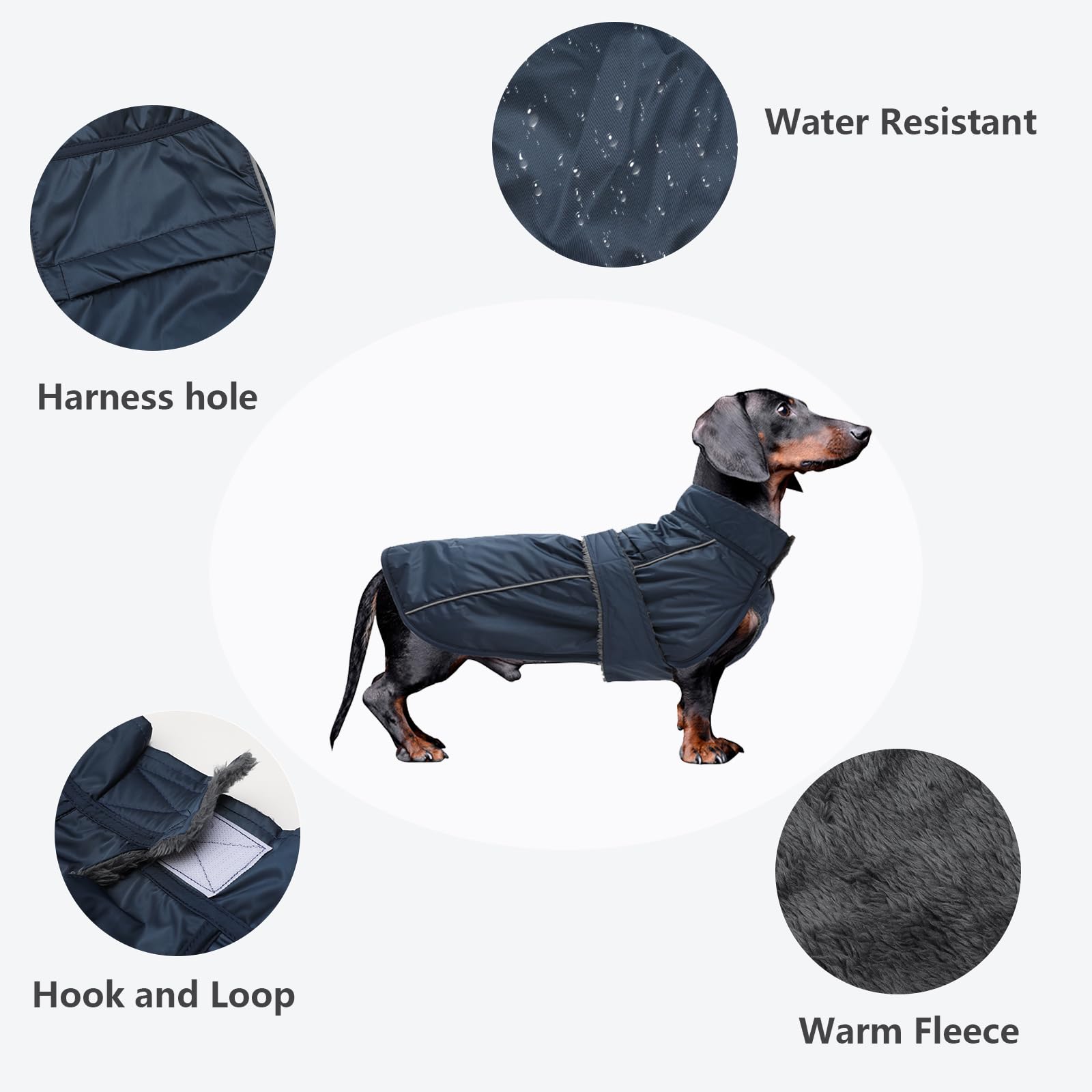 Dachshund Coat Waterproof, Perfect For Dachshund Sausage, Puppy Winter Jacket With Padded Fleece Lining, Dog Clothing With Bands