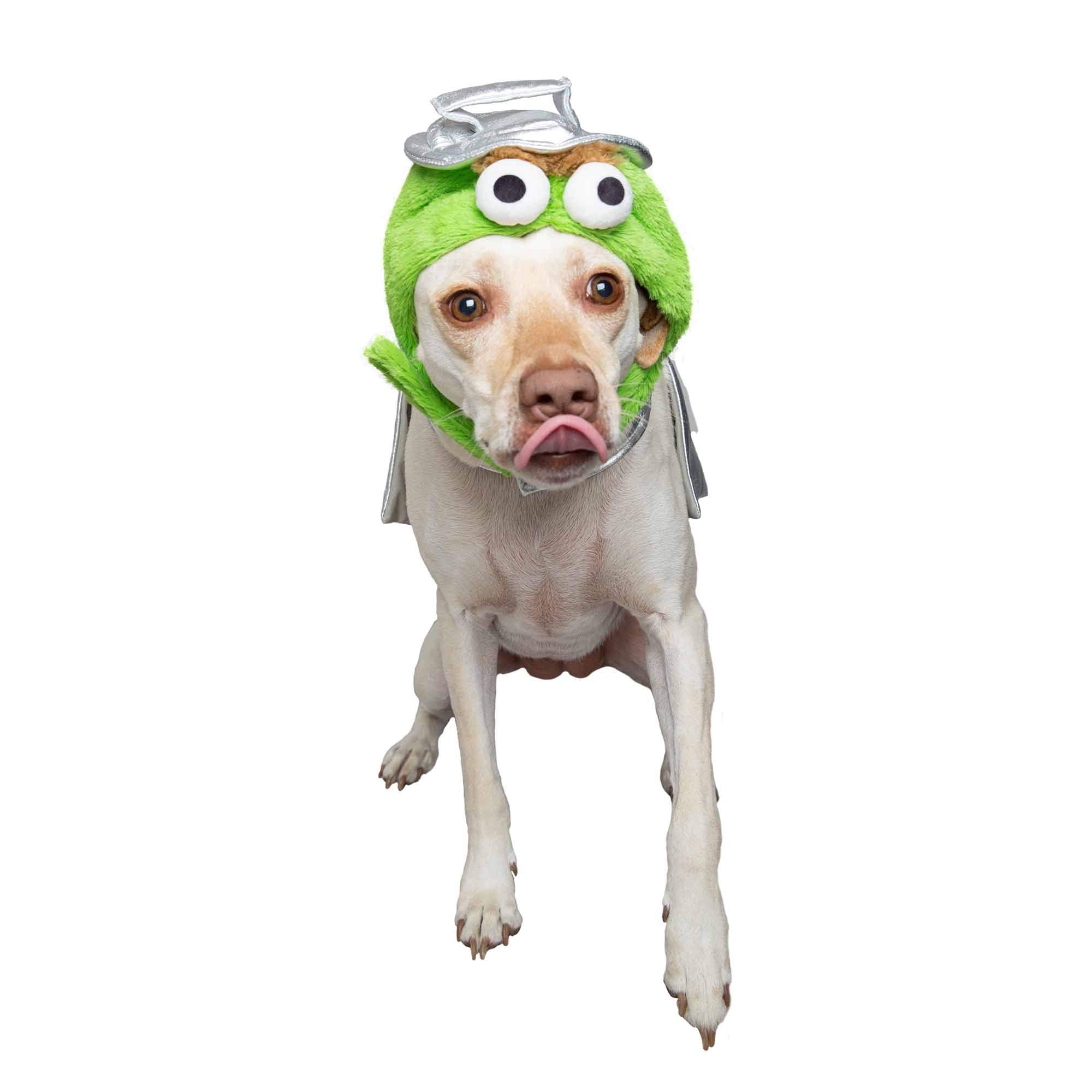 PET KREWE Large Oscar The Grouch Dog Costume - Silver X-Large for Halloween, Christmas, Parties - Fits Small to Extra Large Pets