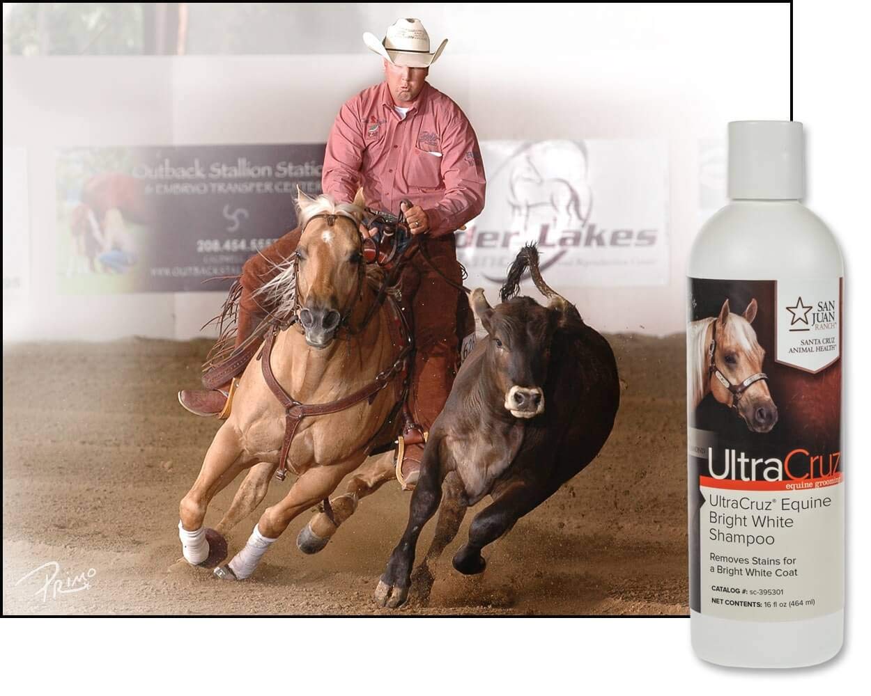 Ultracruz - Sc-395301 Equine Bright White Horse Shampoo, 16 Oz,Purple