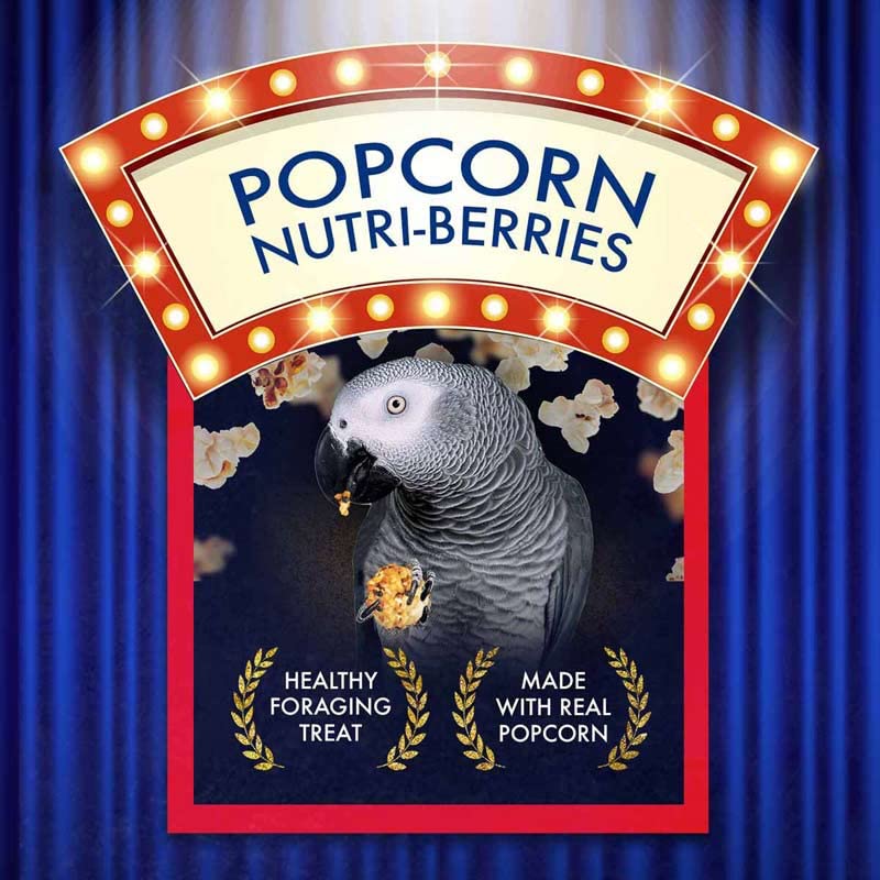 Lafebers Popcorn Nutri-Berries for Parrots 4 oz bag