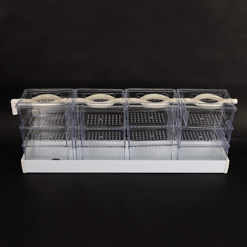 Wupyi Aquarium External Filter Fish Tank External Filter Box Aquarium Filter Fish Tank Upper Trickle Box Filters System 12 Box,Transparent