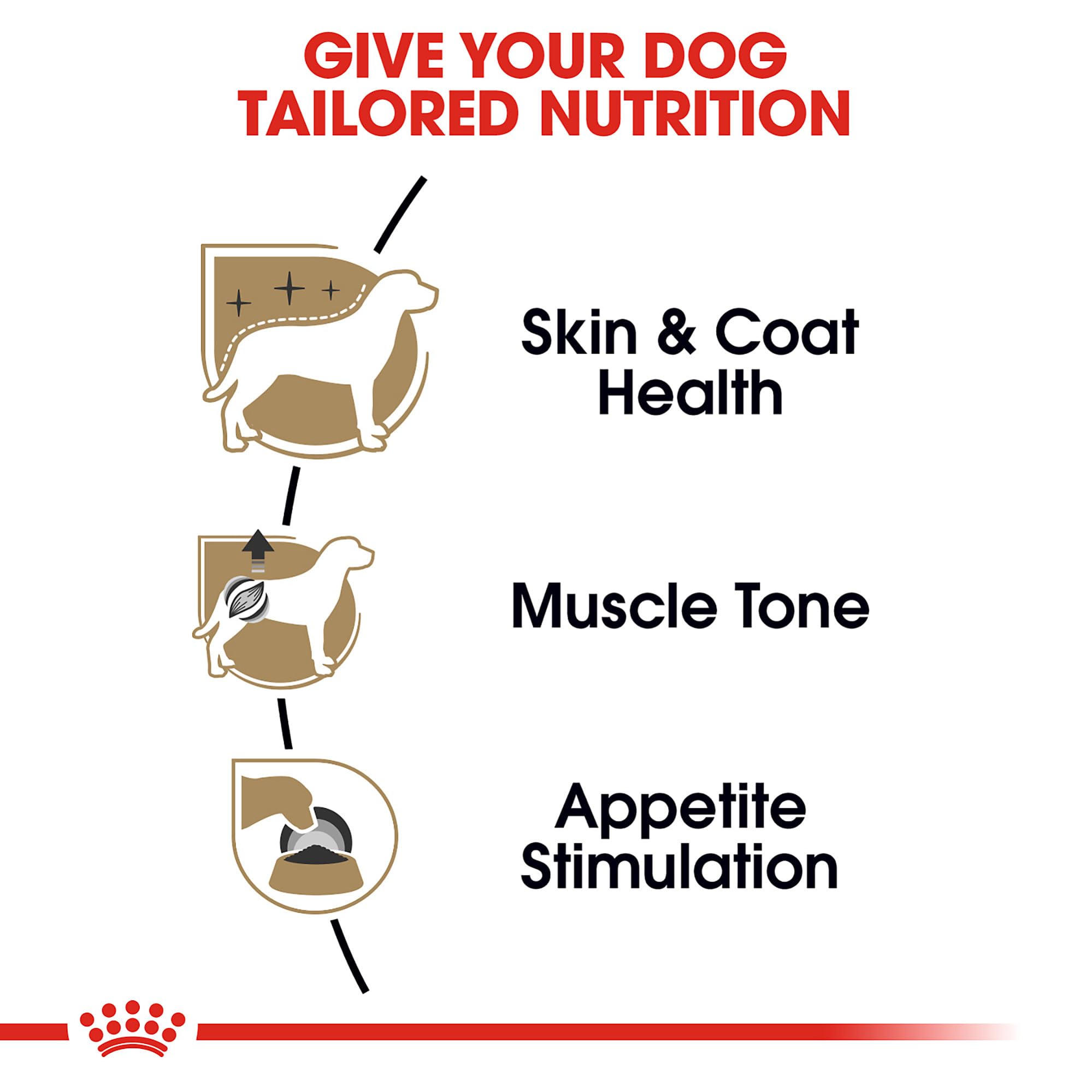 Royal Canin Poodle Adult Breed Specific Wet Dog Food, 3 oz can 4-pack