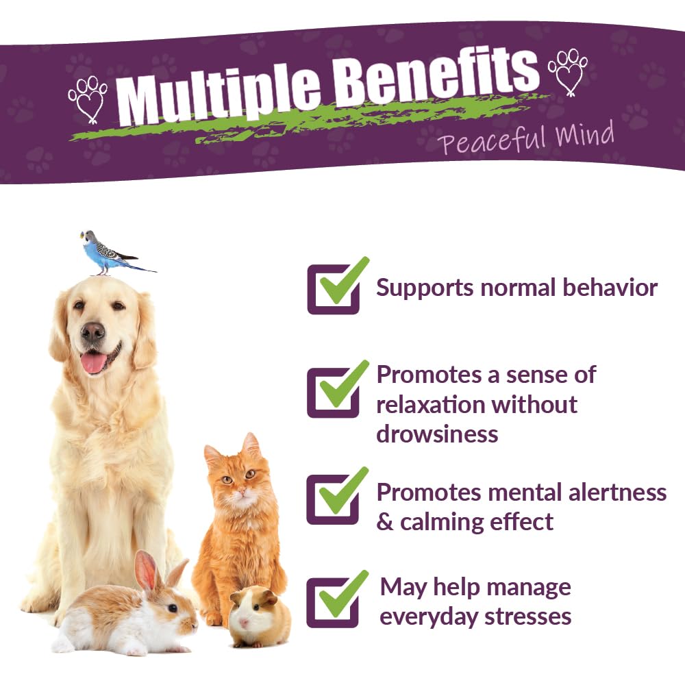 AMBER NATURALZ Pyntril Peaceful Mind Herbal Supplement for Dogs, Cats, Birds, Guinea Pigs, and Rabbits | Herbal Pet Supplement f