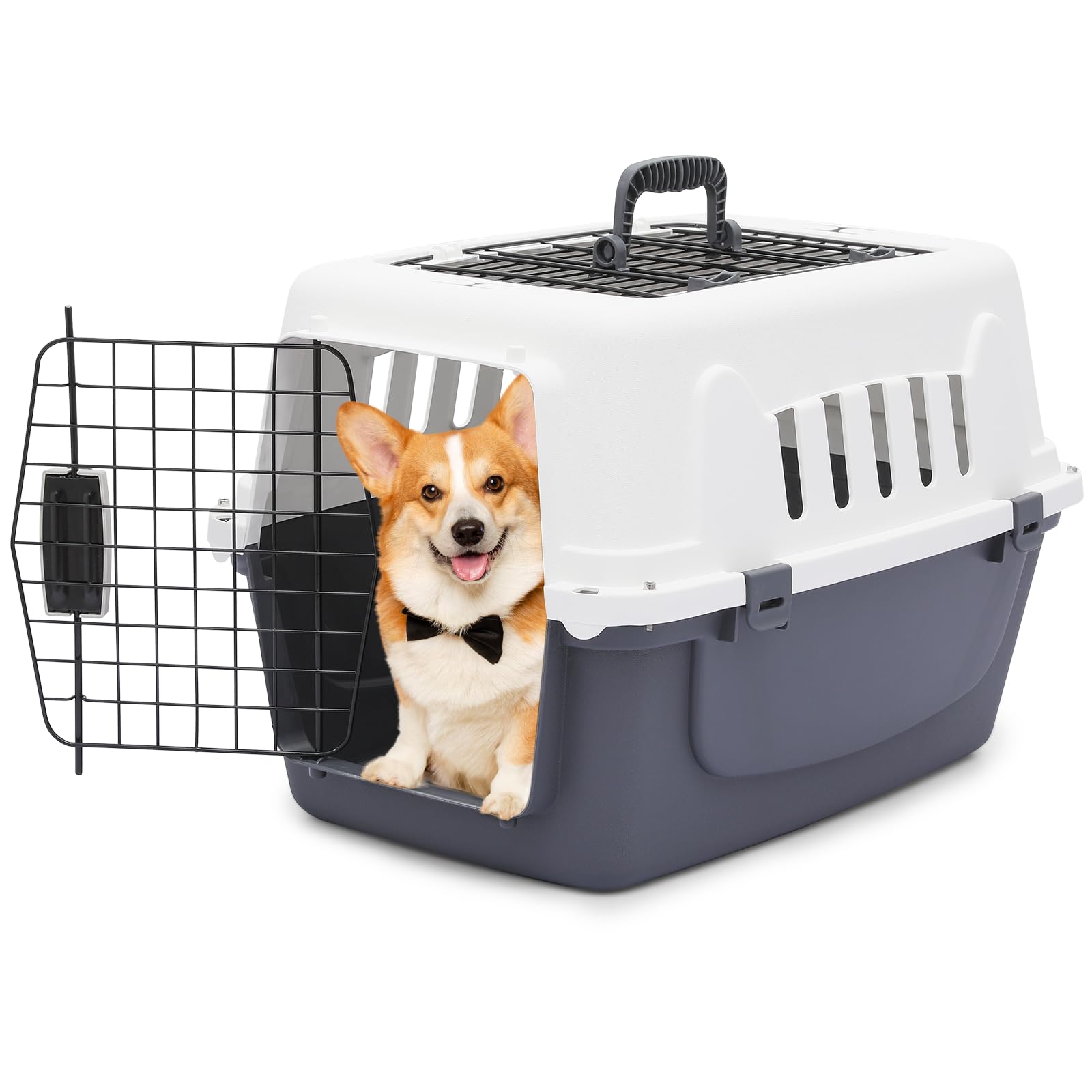 Athena Collection 22 Hard-Sided Travel Pet Carrier for Small Dogs and Cats, Plastic Dog Crate with 2-Door Top & Front Load, Vent