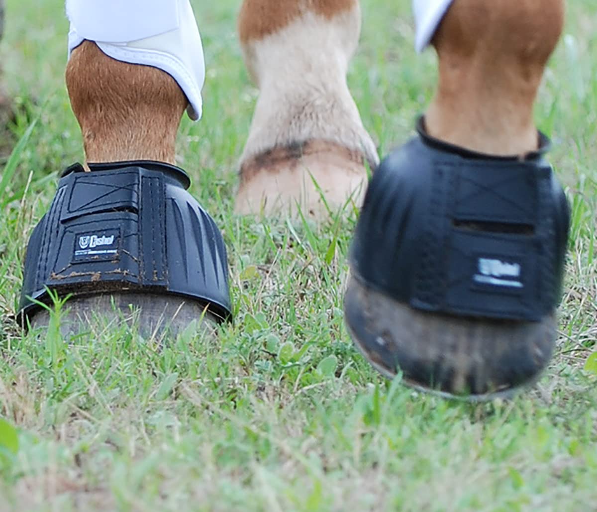 Cashel Bell Boots Rubber, Black, Size: L (Bb-Bl-L)
