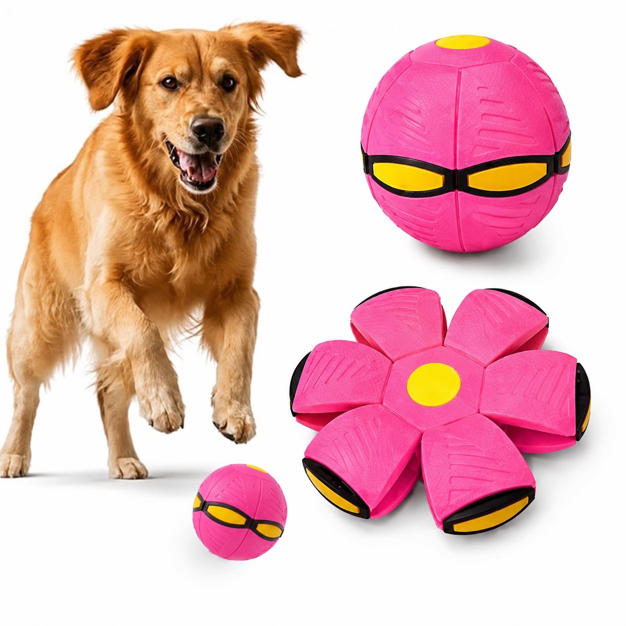 Tilting Heads Fetchnova Ufo Ball For Dogs  Shape Shifting Interactive Toy | Bounce, Spin & Roll | Durable Chew Resistant Dog To