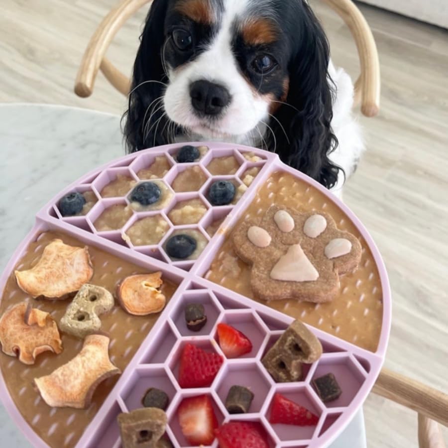 BUDDY BUDDER Red Velvet + Brownie Butter + Gimme SMores, 100% Natural Dog Peanut Butter, Healthy Dog Treat, Made in USA (Set of
