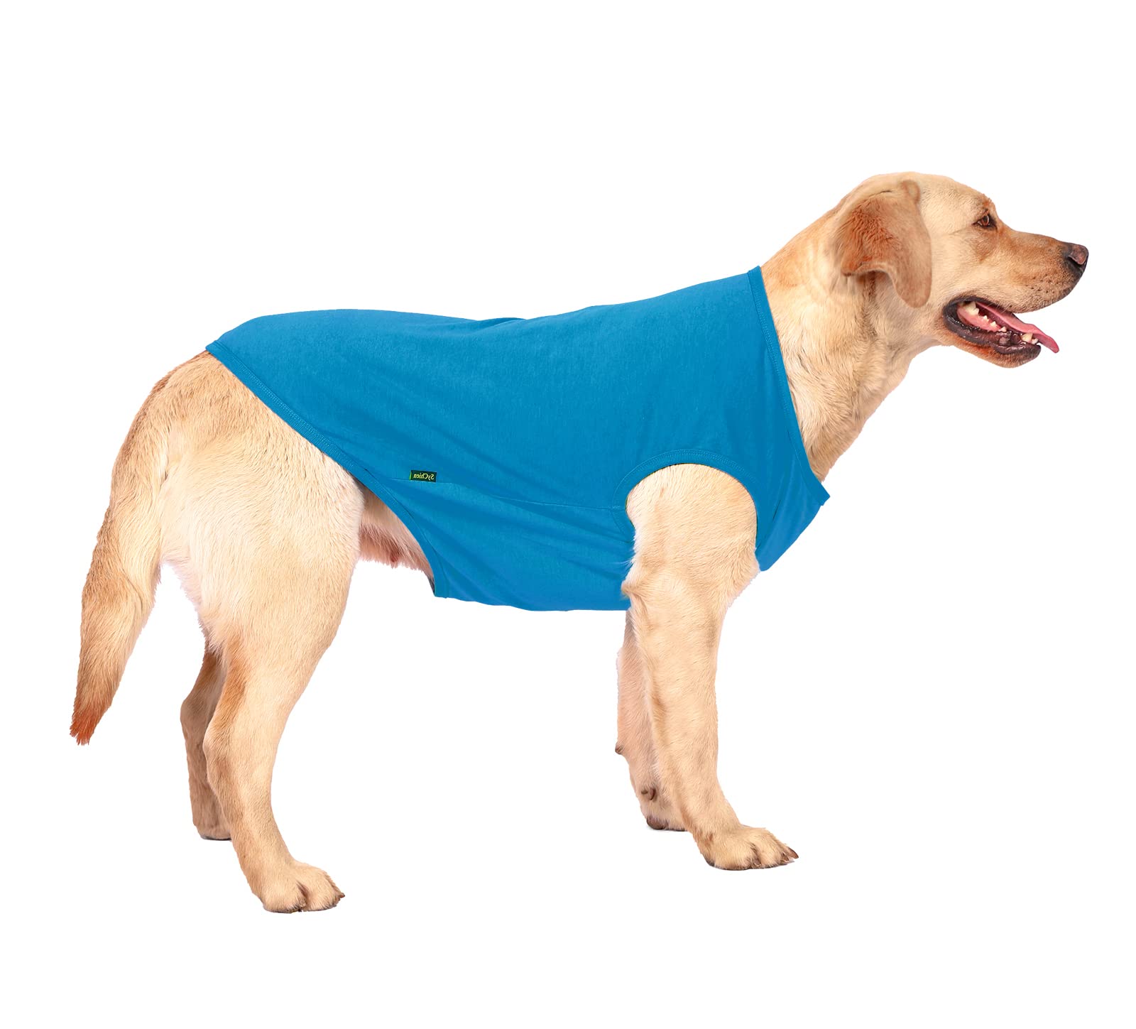 Sychien Dog Blank Blue Shirt,Boy Girl Dogs Cats Tee Shirts,Plain Extra Small Chihuahua T-Shirt,Xs Blue Royal