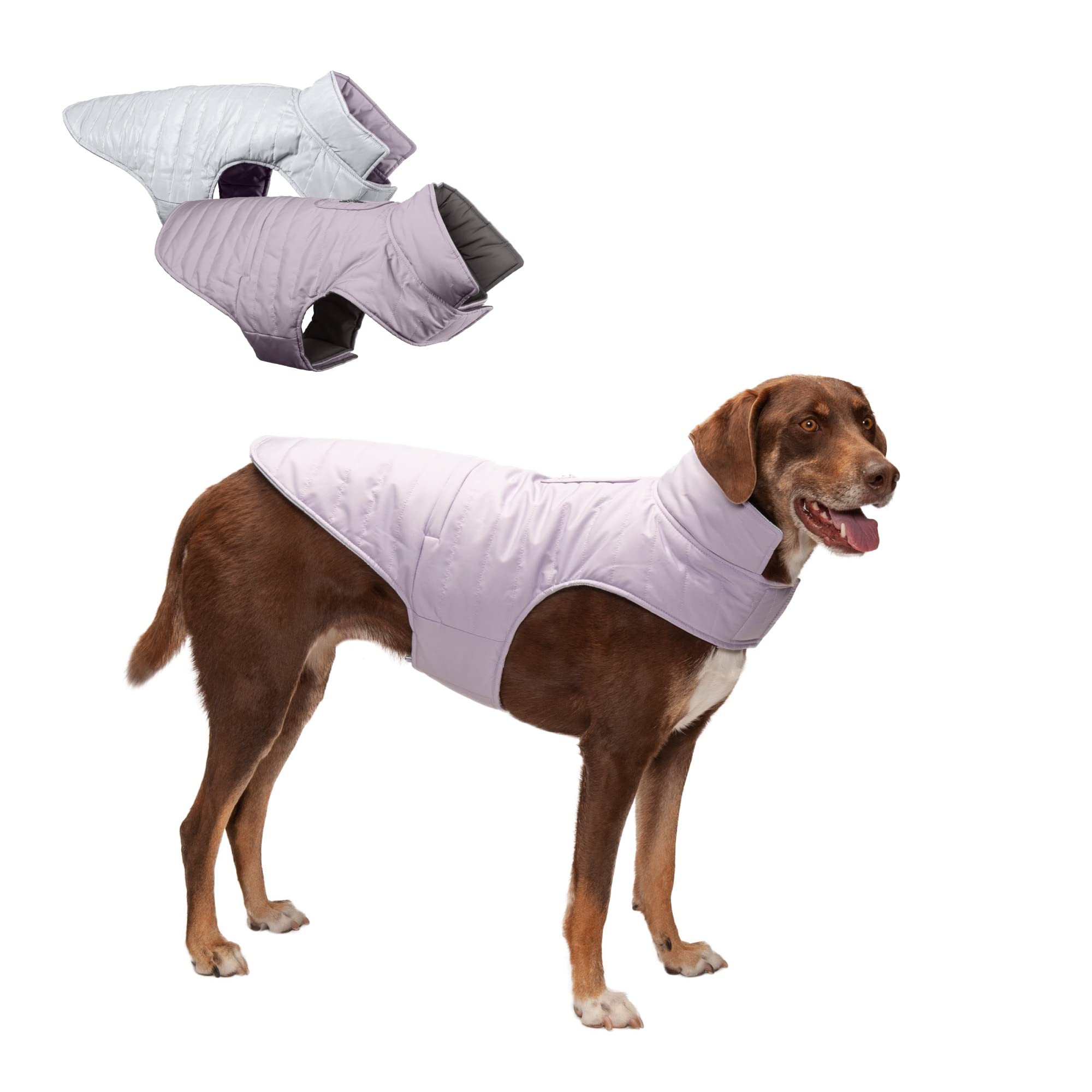 Furhaven Water-Repellent & Reversible Large Dog Coat, Washable & Reflective w/ Leash Access, Pocket, & Carry-On Purse - Puffer D