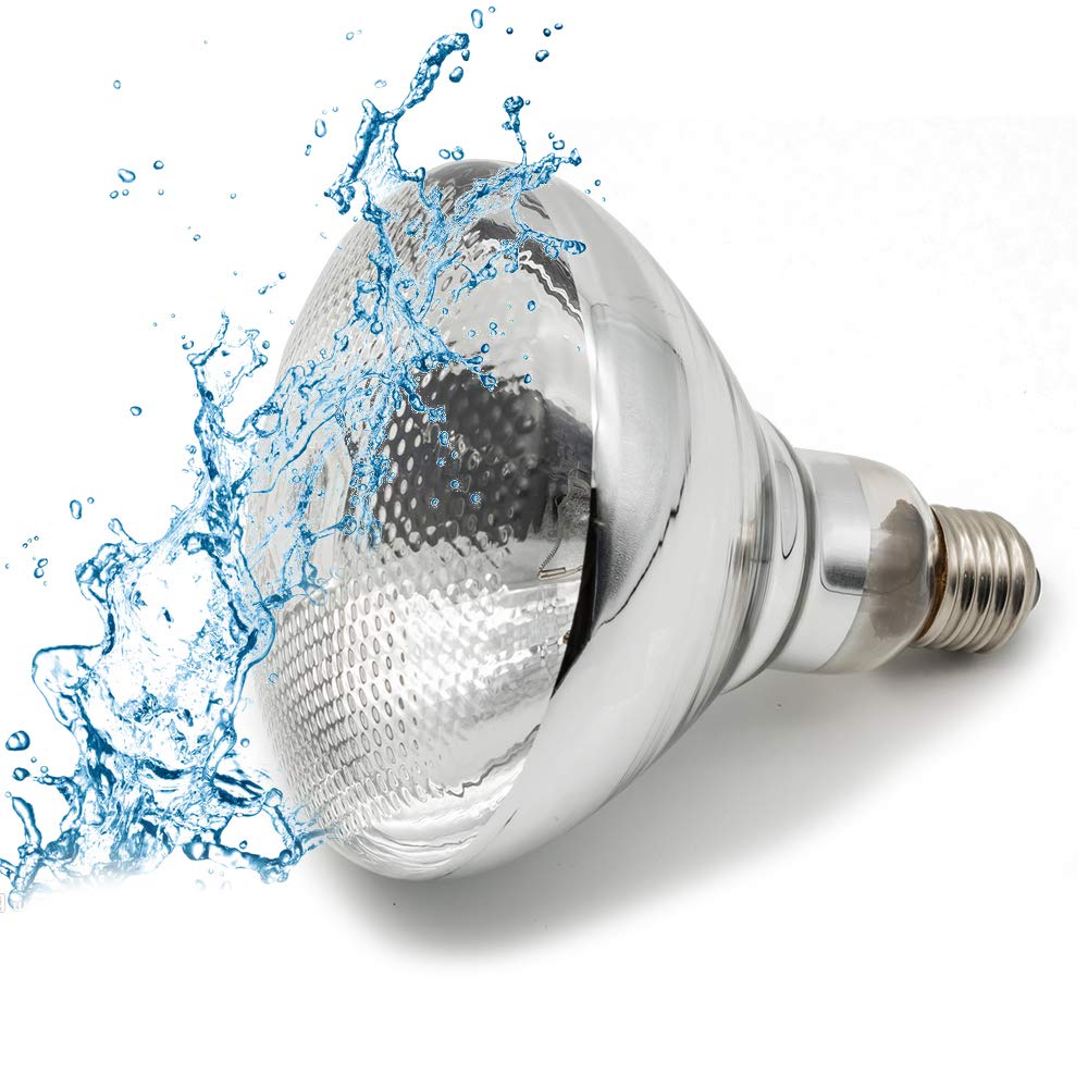 Fengrun Infrared Heating Lamp Clear Hard Explosion-Proof Glass Eco-Friendly Uv Coating For Animal,Bathroom Warming Light Bulb(15