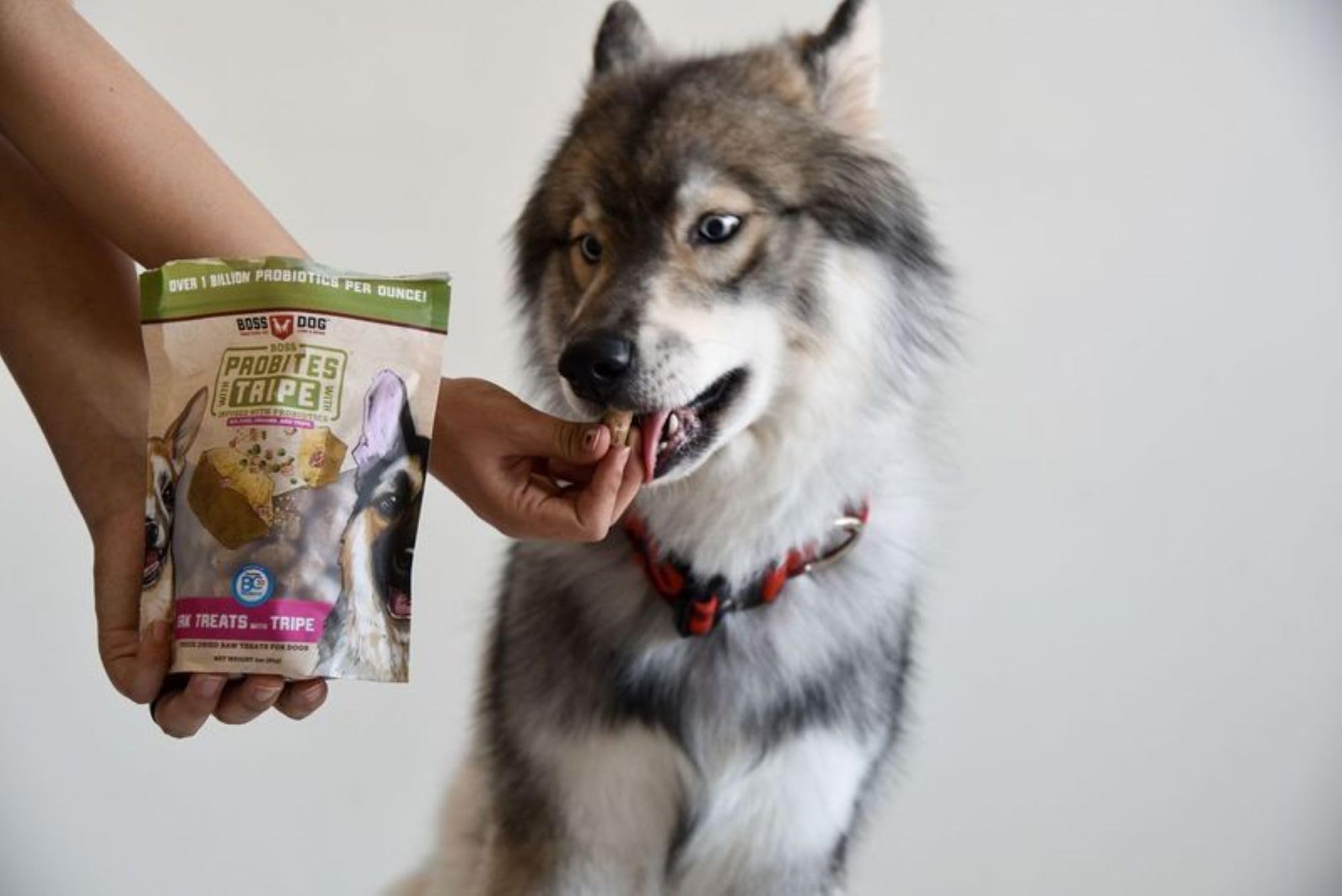 BOSDG TREATS DG PORK TRP (6x3.00)
