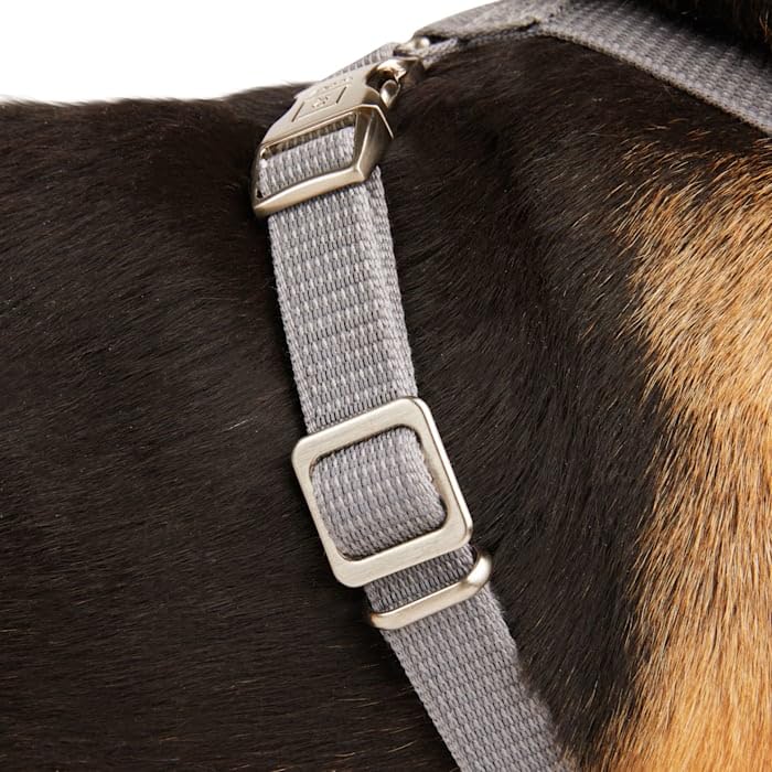 Reddy Grey Reflective Dog Harness Medium