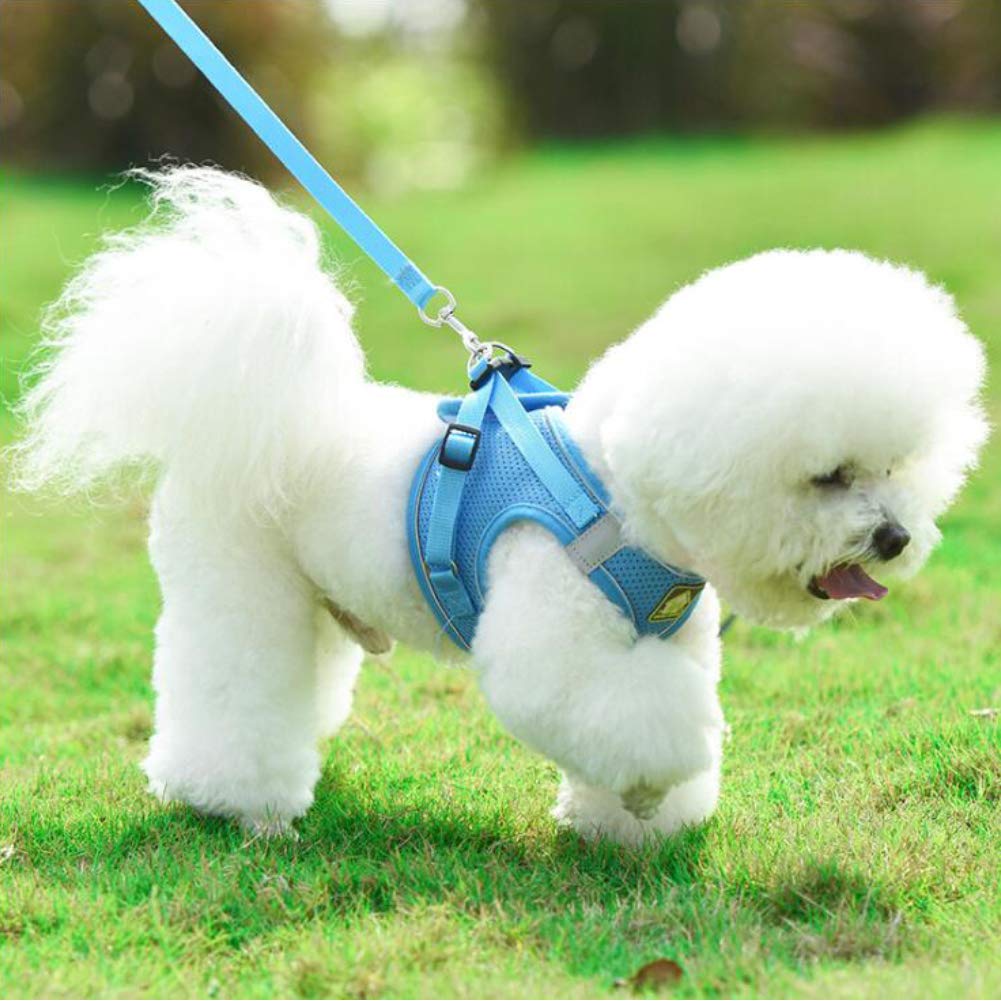 Feimax Dog Harness And Leash Set, No Pull Pet Harnesses Soft Mesh Reflective Escape Proof Vest For Small Medium Dogs Cats Adjustable For Puppy Kitten Rabbit