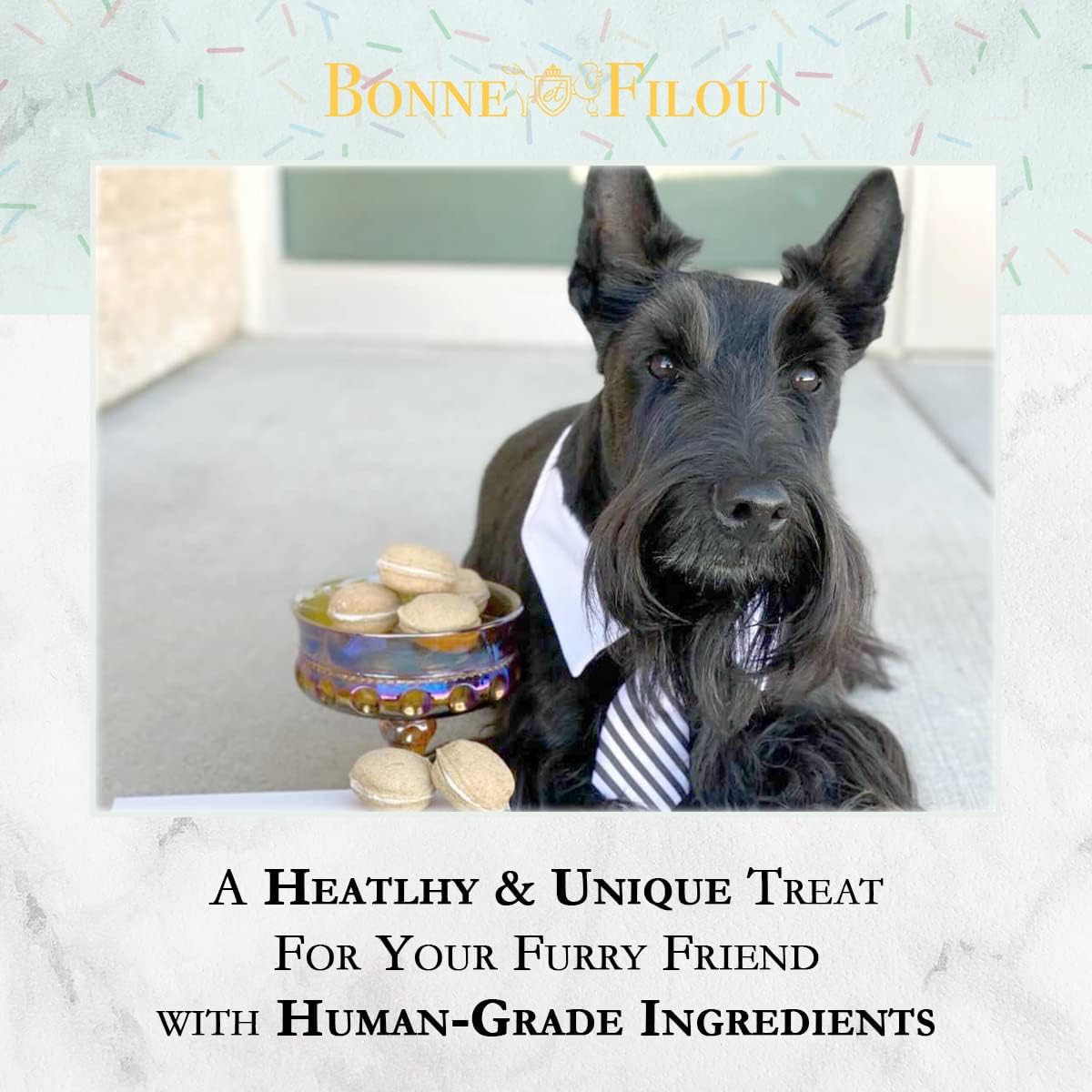 Dog Macarons - count of 6 (Dog Treats  Dog gifts)(D0102HIRLYU)