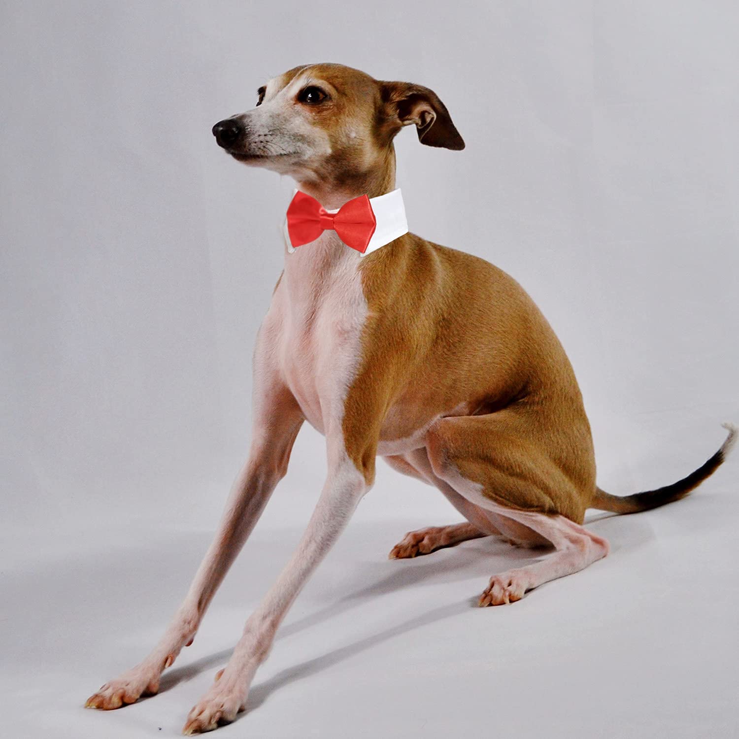 Formal Dog Bowtie Collar, Koolmox Red Tuxedo For Dogs, Tuxedo Dog Neck Bow Red With Adjustable White Collar Formal Pet Collar Necktie For Small Medium Large Boy Dog Tuxedo Tux Outfits Costumes
