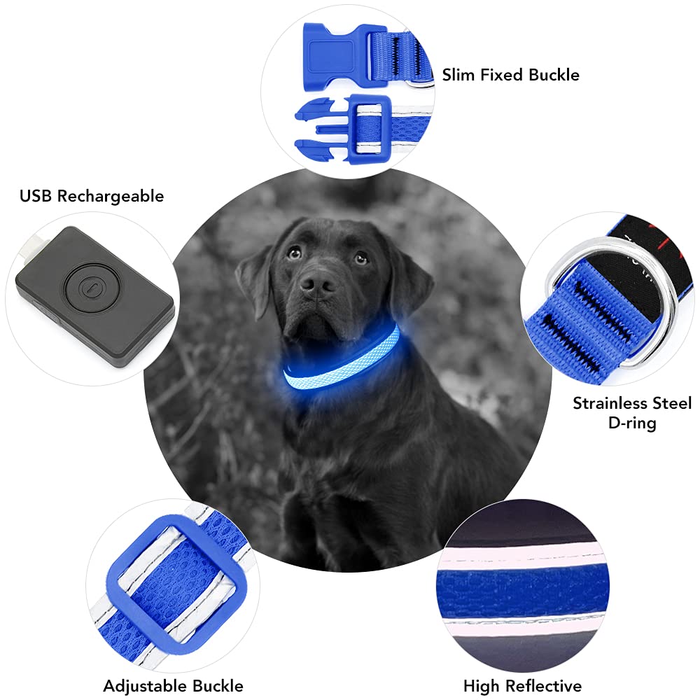 Yfbrite Light Up Dog Collar, Rechargeable Led Dog Collar, Flashing Dog Collar, Adjustable Reflective Dog Collar Safety Glowing At Night (Blue, Medium)
