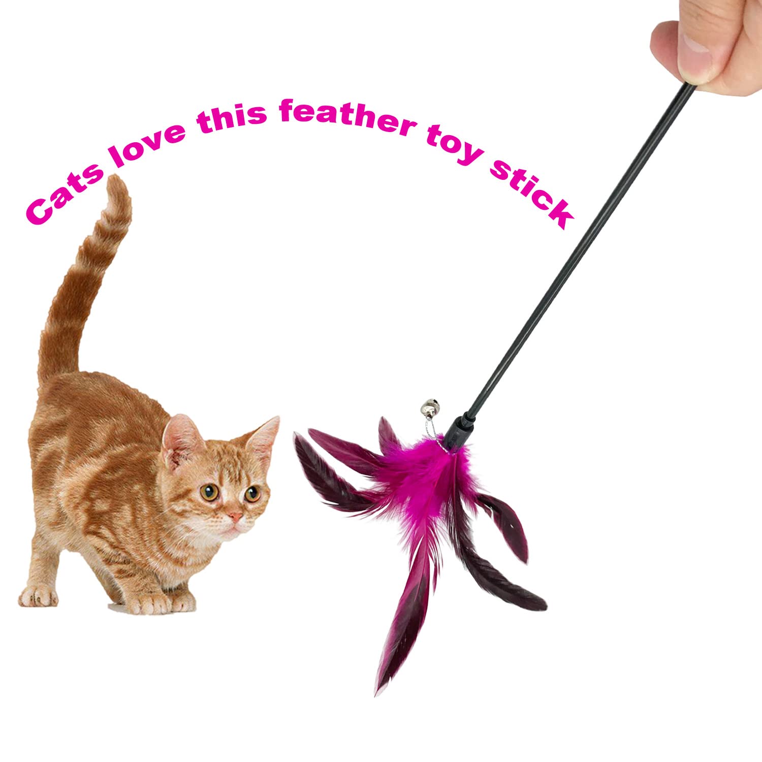 CATENESS Cat Wand Toy - 8 Pack Interactive Feather Stick Toys for Indoor Cats