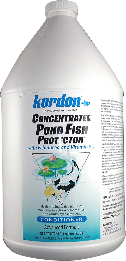 KORDON Concentrated Pond Fish Protector - Essential Vitamins & Supplements to Boost Koi Immunity, Replaces Slime Coat, Soothes D