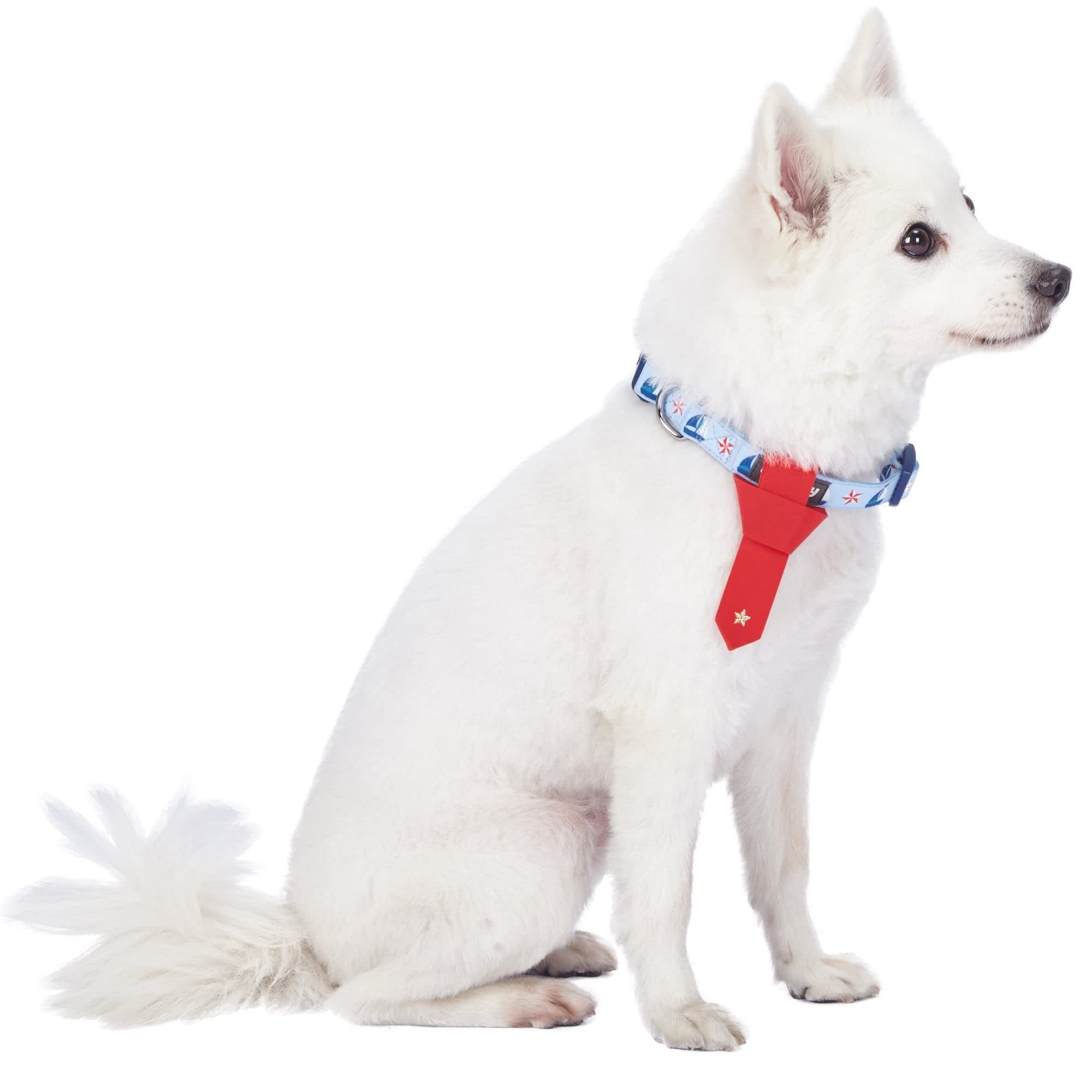 Blueberry Pet 4 Patterns Light Blue Starry Sailboat Designer Adjustable Tie Dog Collar, Medium, Neck 14.5'-20'