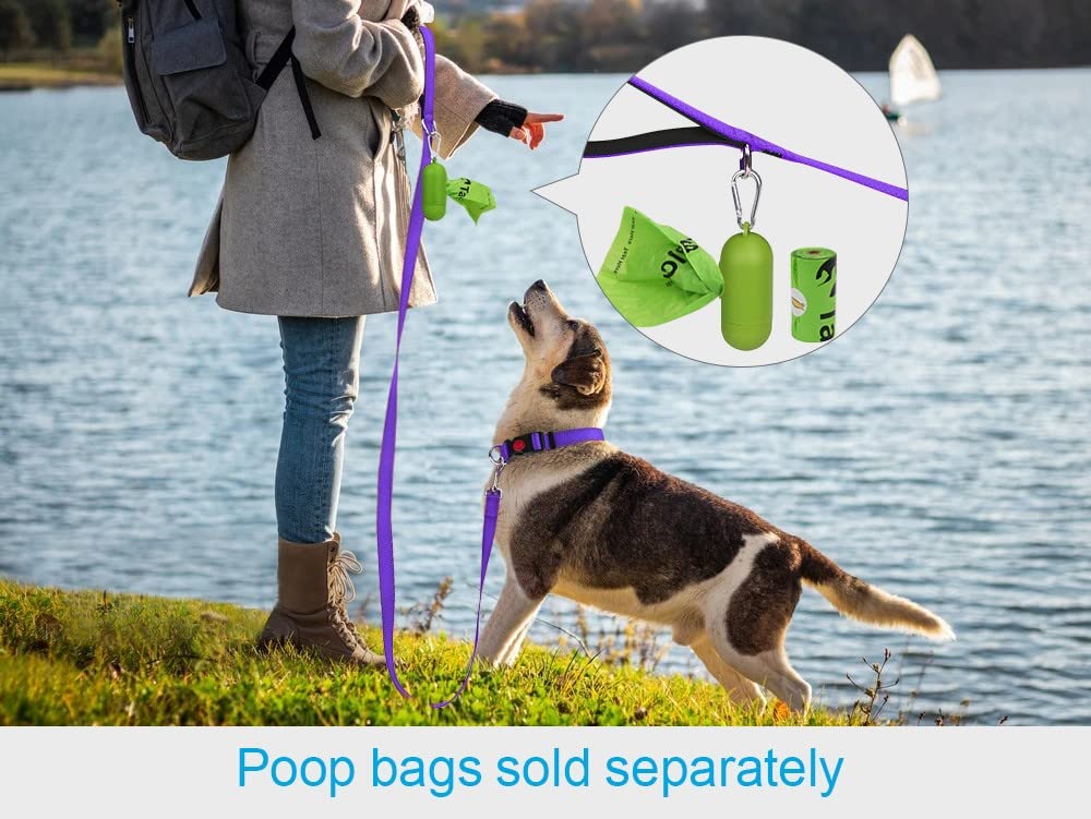 Taglory Double-Sided Reflective Heavy Duty Dog Leash 5Ft,Neoprene Padded Handle And Metal Hook Pet Training Leashes For Small Medium Large Dogs, Purple