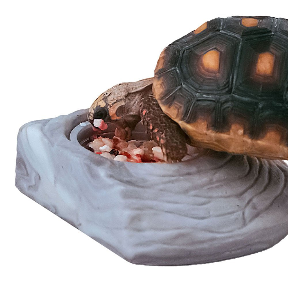Healthy Herp Tortoise Food Instant Meal for Reptiles - Nutritious Turtle Food, Tortoise Habitat Accessories - Made in USA - for