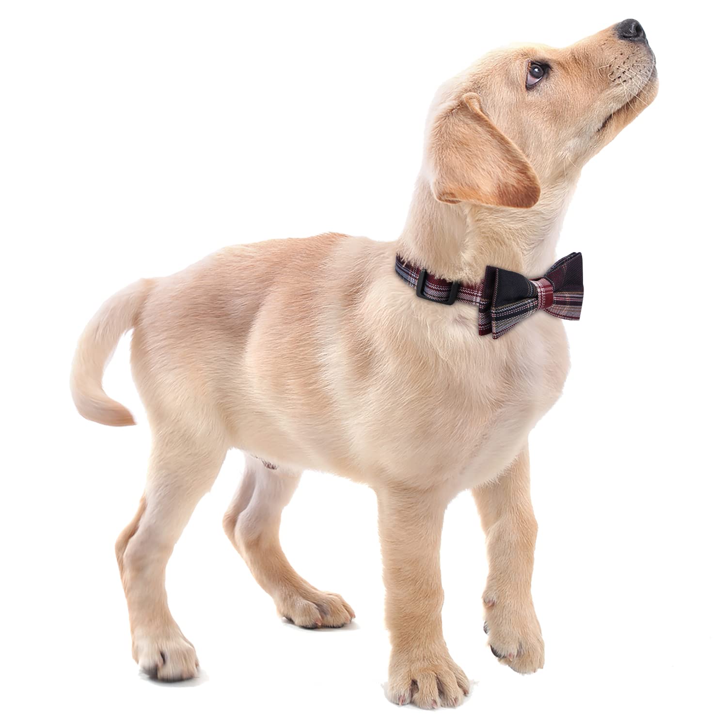 Faleela Soft &Comfy Bowtie Dog Collar,Detachable And Adjustable Bow Tie Collar,For Small Medium Large Pet (Red And White, Large(