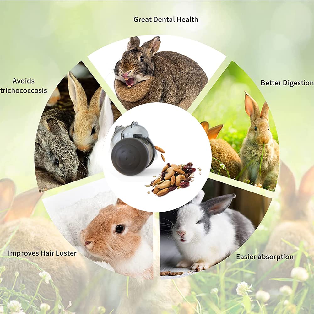 Interactive Treat Ball, Snack Toy Ball for Rabbits, Roll and Push, Exercise Your Pet's Body, Use with Diced Carrot, Dried Herbs,