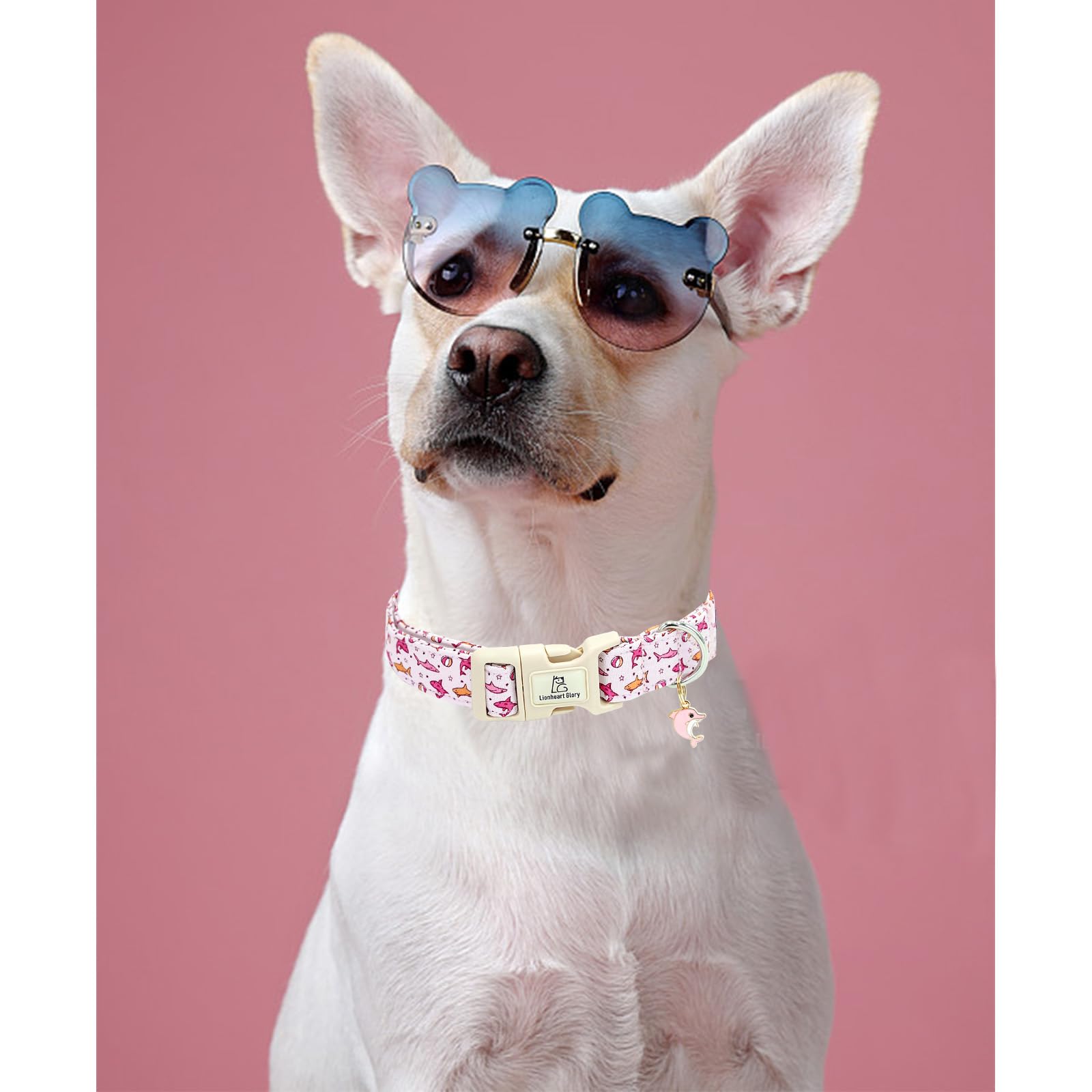 Lionheart Glory Pink Shark Pattern Cute Dog Collar - Adjustable, Durable For Small Dogs