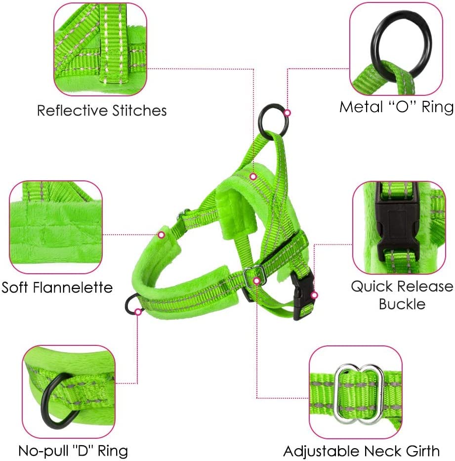 Slowton No Pull Small Dog Harness And Leash Set, Puppy Soft Vest Harness Neck & Chest Adjustable, Reflective Lightweight Harness & Anti-Twist Pet Lead Combo For Small Medium Dogs (G-Front Clip,Xxs)