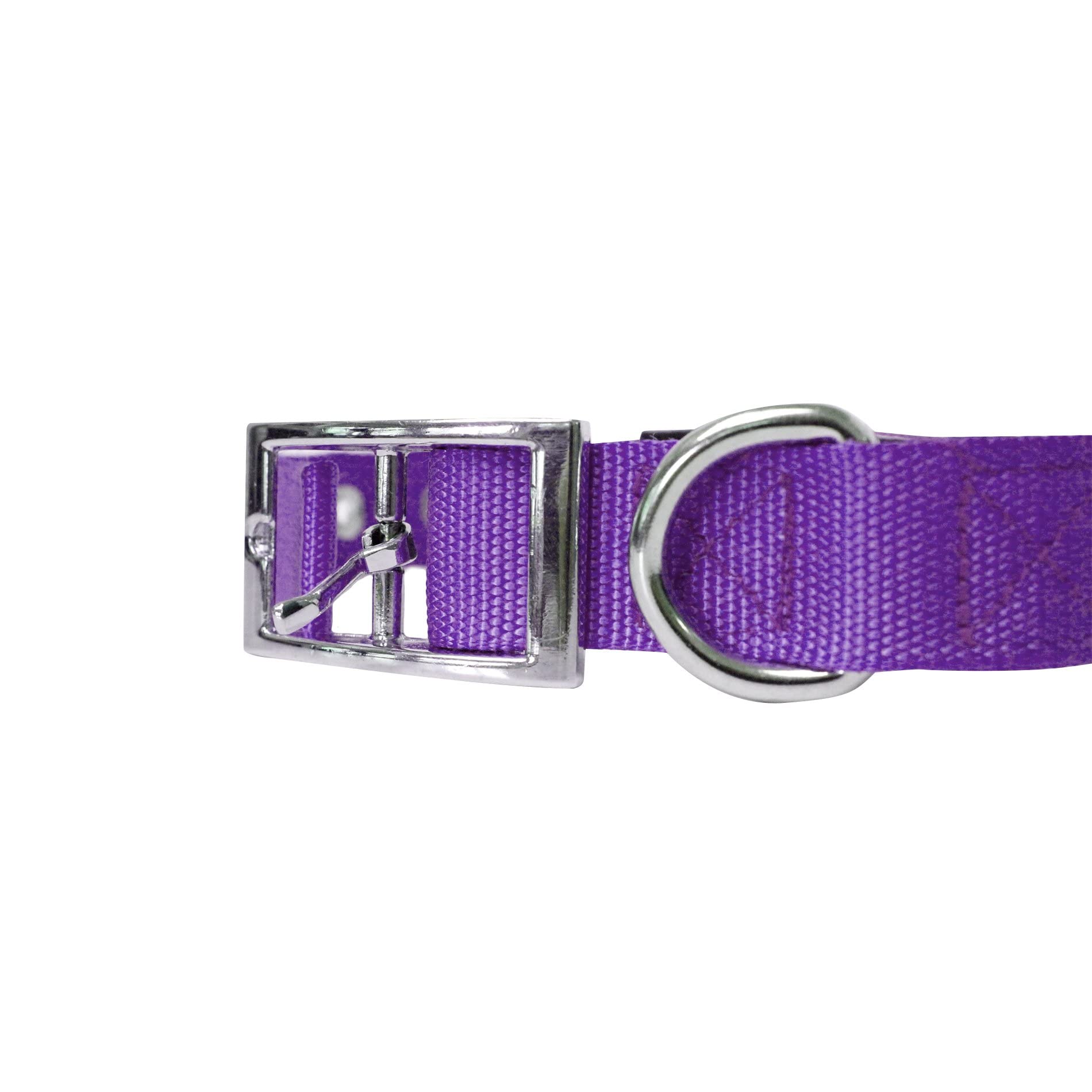 Downtown Pet Supply Deluxe Dog Collar - Adjustable Padded With Metal Buckle & D-Ring - Machine Washable & Water Resistant Thick