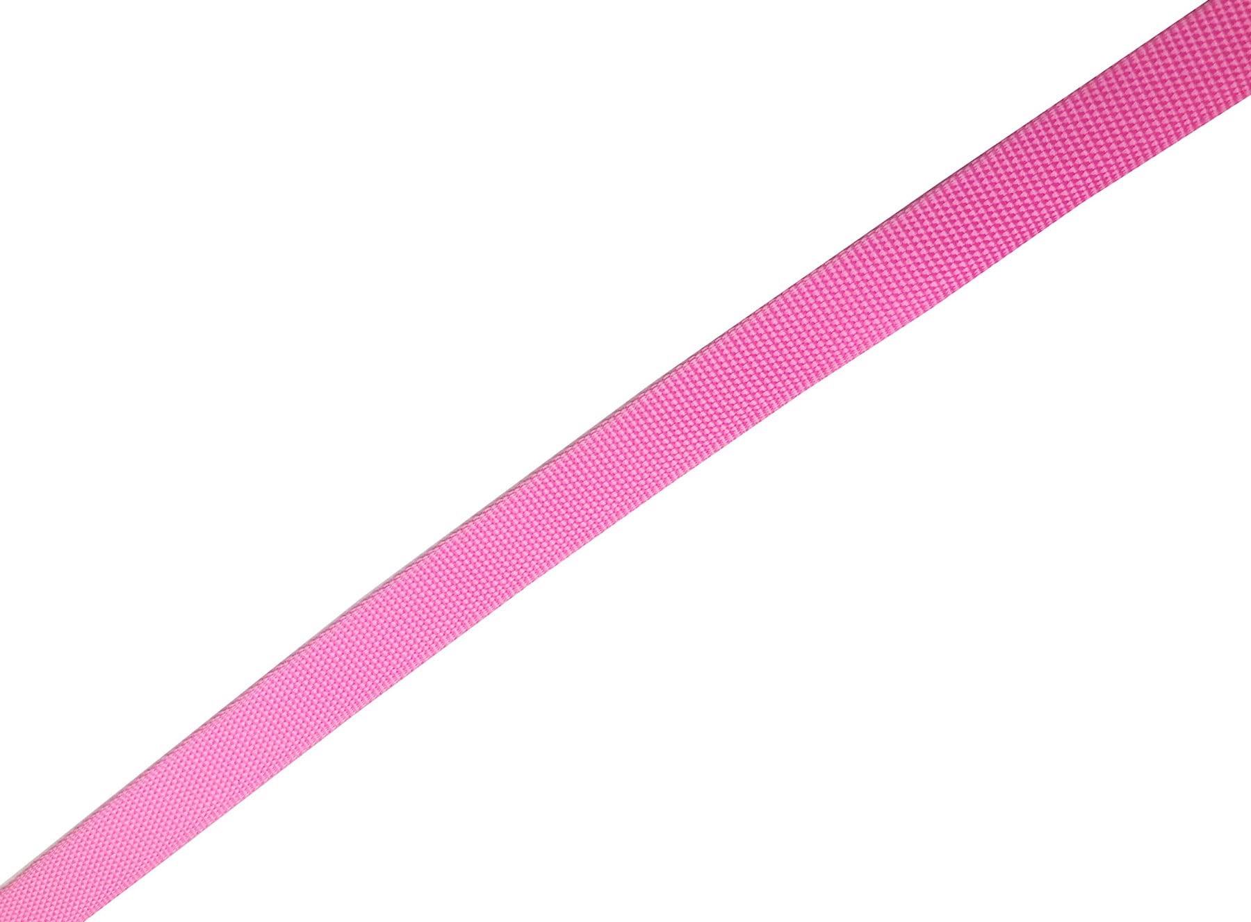 Nylon Dog Leash 12 Feet Long, Walking Training Dog Leashes For Medium Large Dogs(1'' X 12 Ft, Pink)