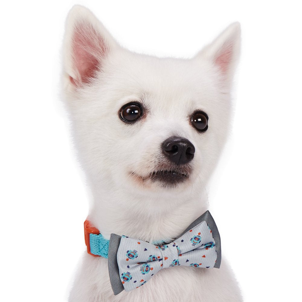 Blueberry Pet Gift Box With Pack Of 2 Handmade Dog Cat Bow Tie, Go For Fun Designer Bowtie Set, 4' * 2.5'