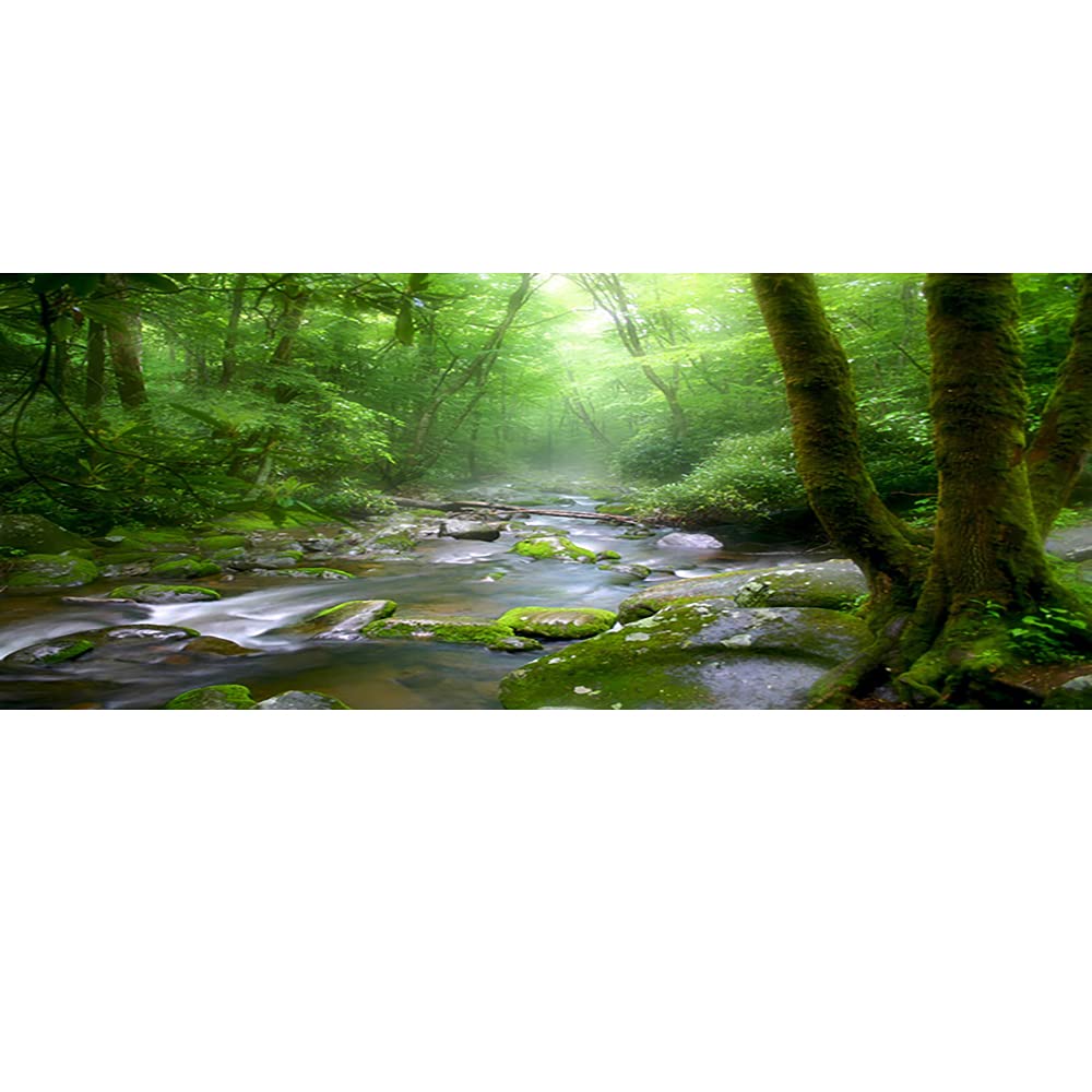 OERJU 36x24 Inch Rainforest Terrarium Background - Deep Forest Tank Aquarium with Sunny Stream Stones, Trees, Grass, Tropical Pl