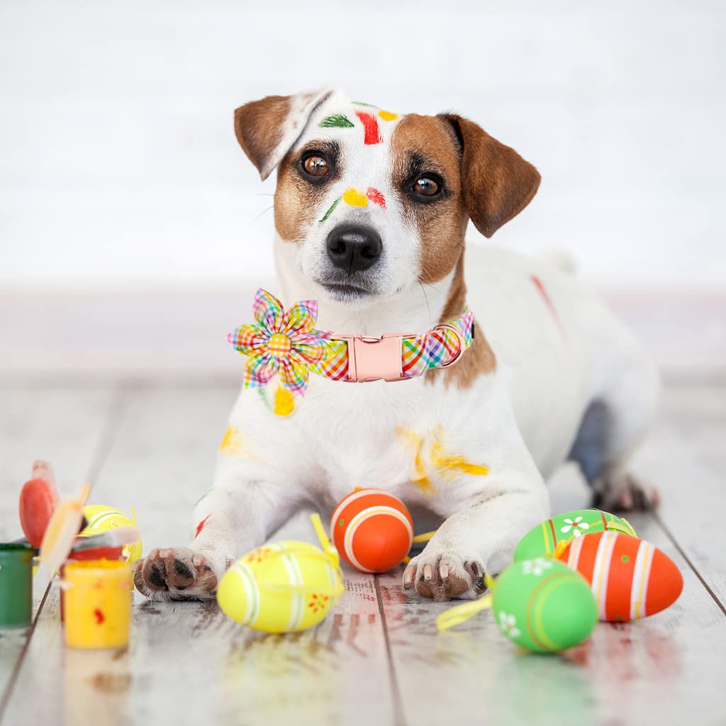 Lionet Paws Easter Dog Collar With Flower - Colorful Cute Cotton Flower Dog Cat Collar With Metal Buckle For Puppy Girl Gift, Xs, Neck 8-12In