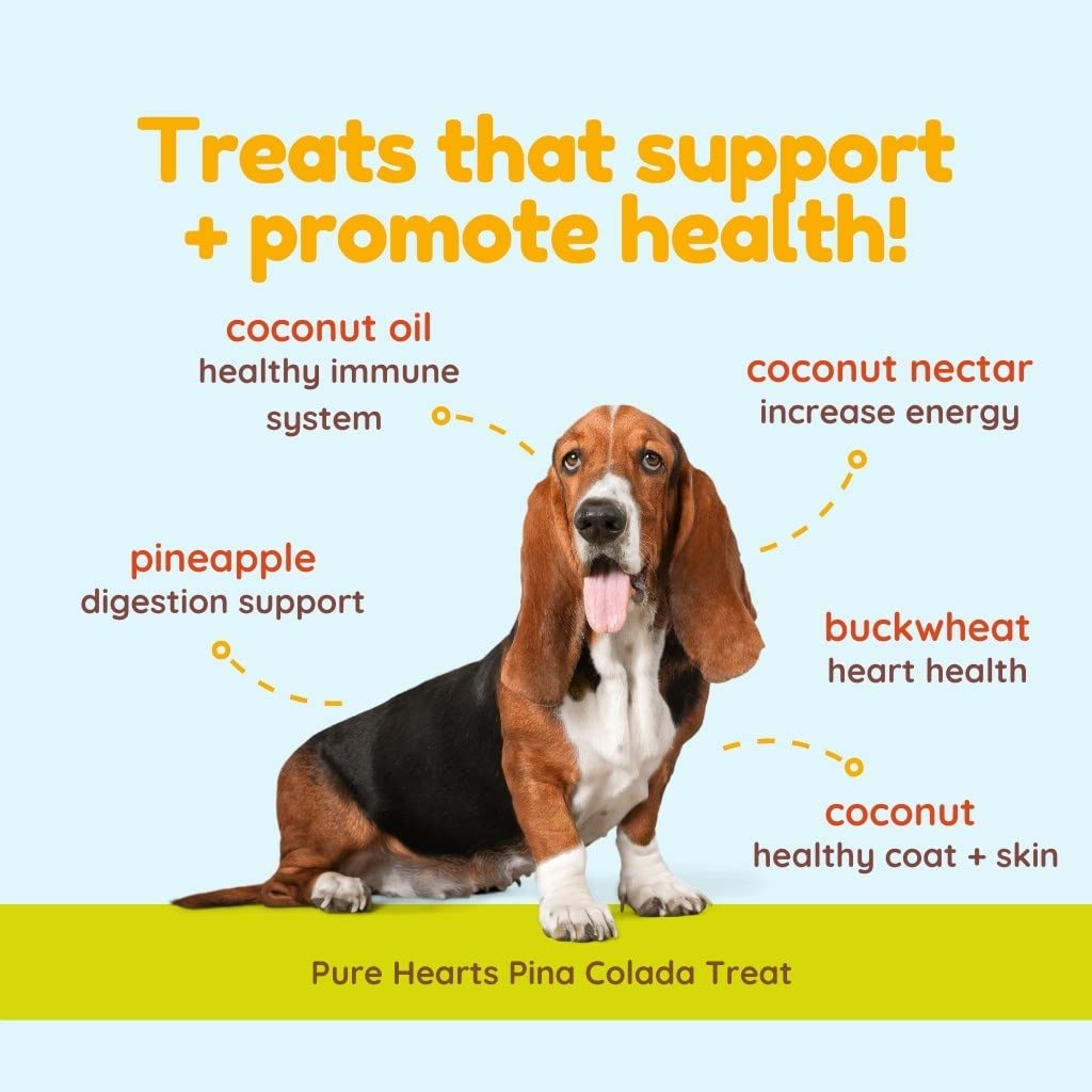 Cocotherapy Pure Hearts Coconut Cookies - Pina Colada (Pineapple Coconut), (1 Pouch), 5 Oz.