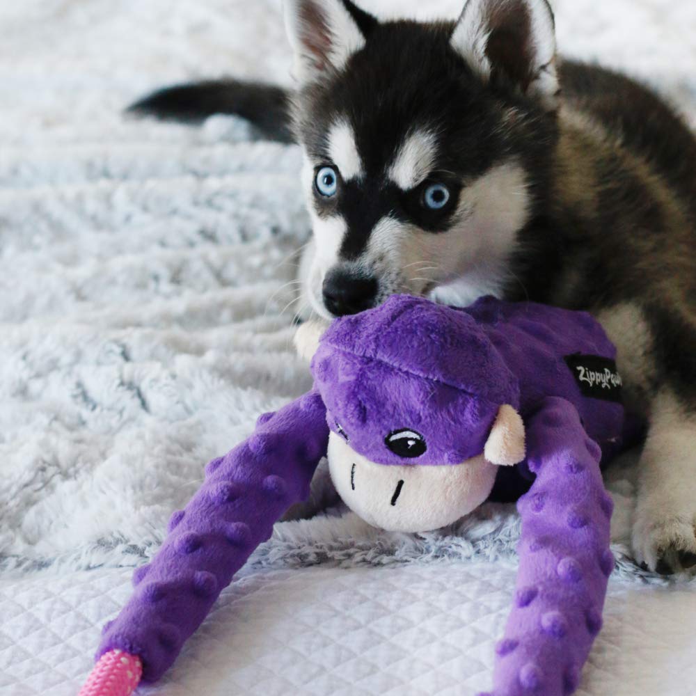 Zippypaws - Ropetugz, Squeaky And Plush Rope Tug Dog Toy - Monkey, Purple