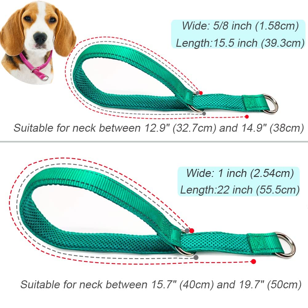 Mycicy Reflective Slip Collar, Soft Nylon Training Choke Collar For Dogs In Turquoise 22', Wide 1'