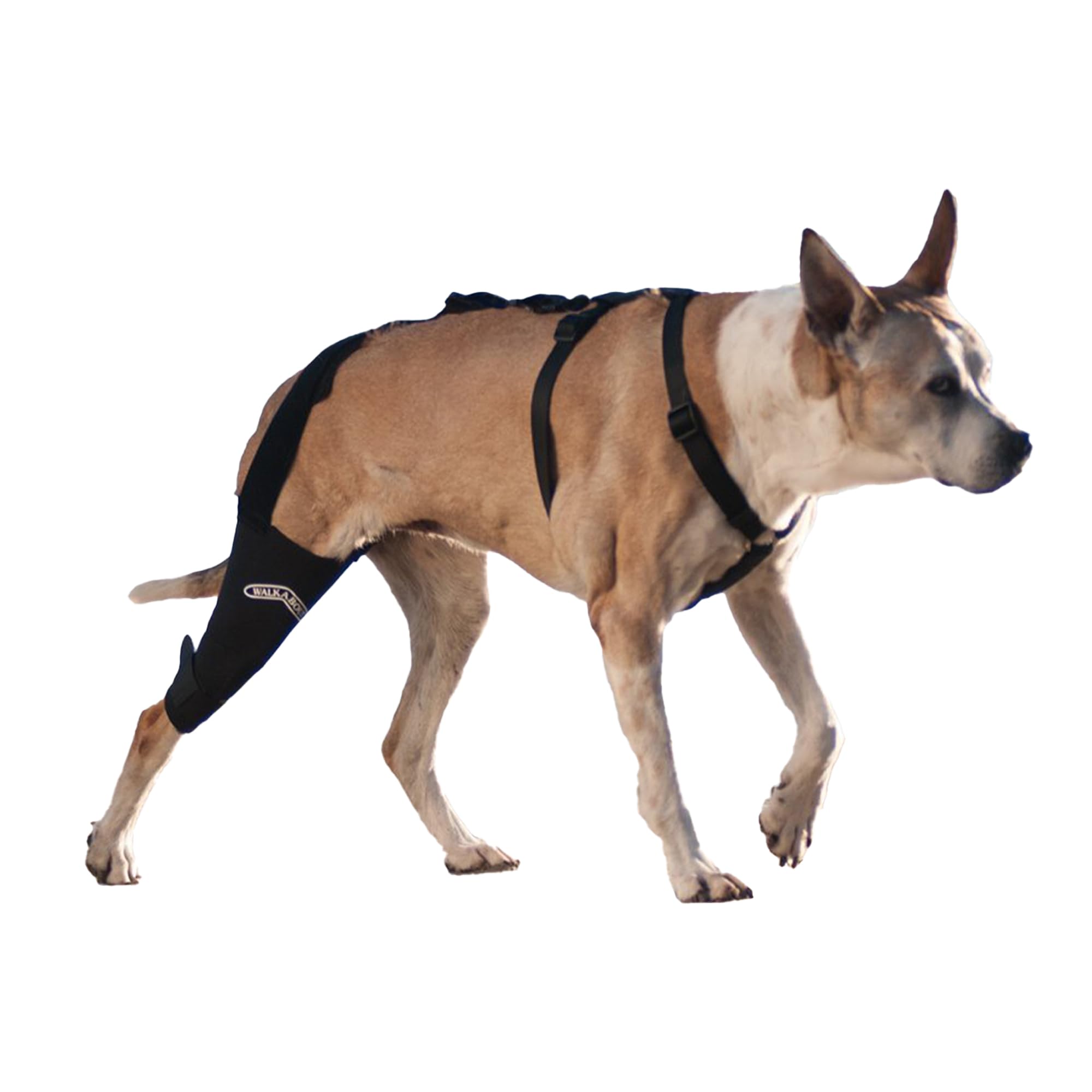 WALKABOUT Knee Brace (Small Left (7-9)