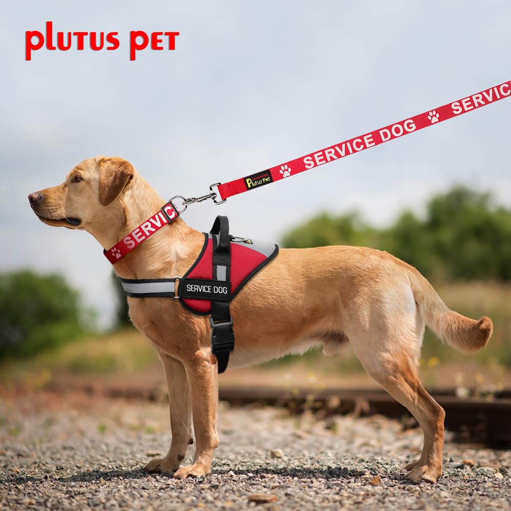 Plutus Pet Service Dog Collar,Printed In Large Letters On Nylon Webbing,Prevents Accidents By Warning Others Of Your Dog In Advance,Two Colors,Four Sizes,Neck 14-20 Inch,Medium,Red