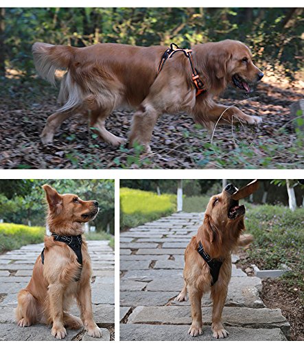 JUXZH Truelove No Pull Dog Harness with Easy Control Handle and 2 Leash Attachments,Reflective Adjustable Pet Vest