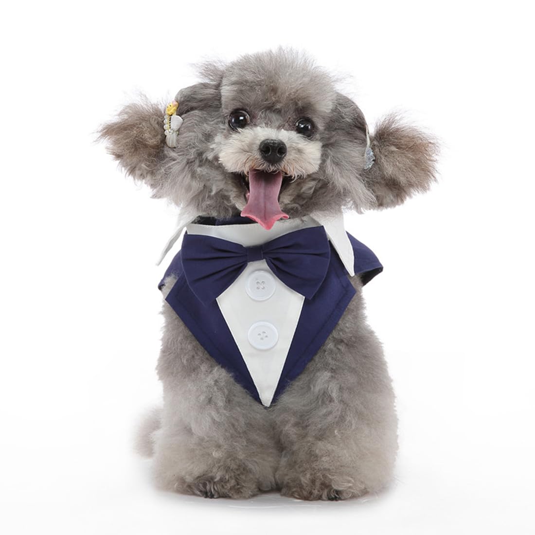 Doteyayp Puppy Tuxedo With Detachable Bowtie Prom Wedding Formal Wear Prince Costume For Small Dog (Small, Blue)