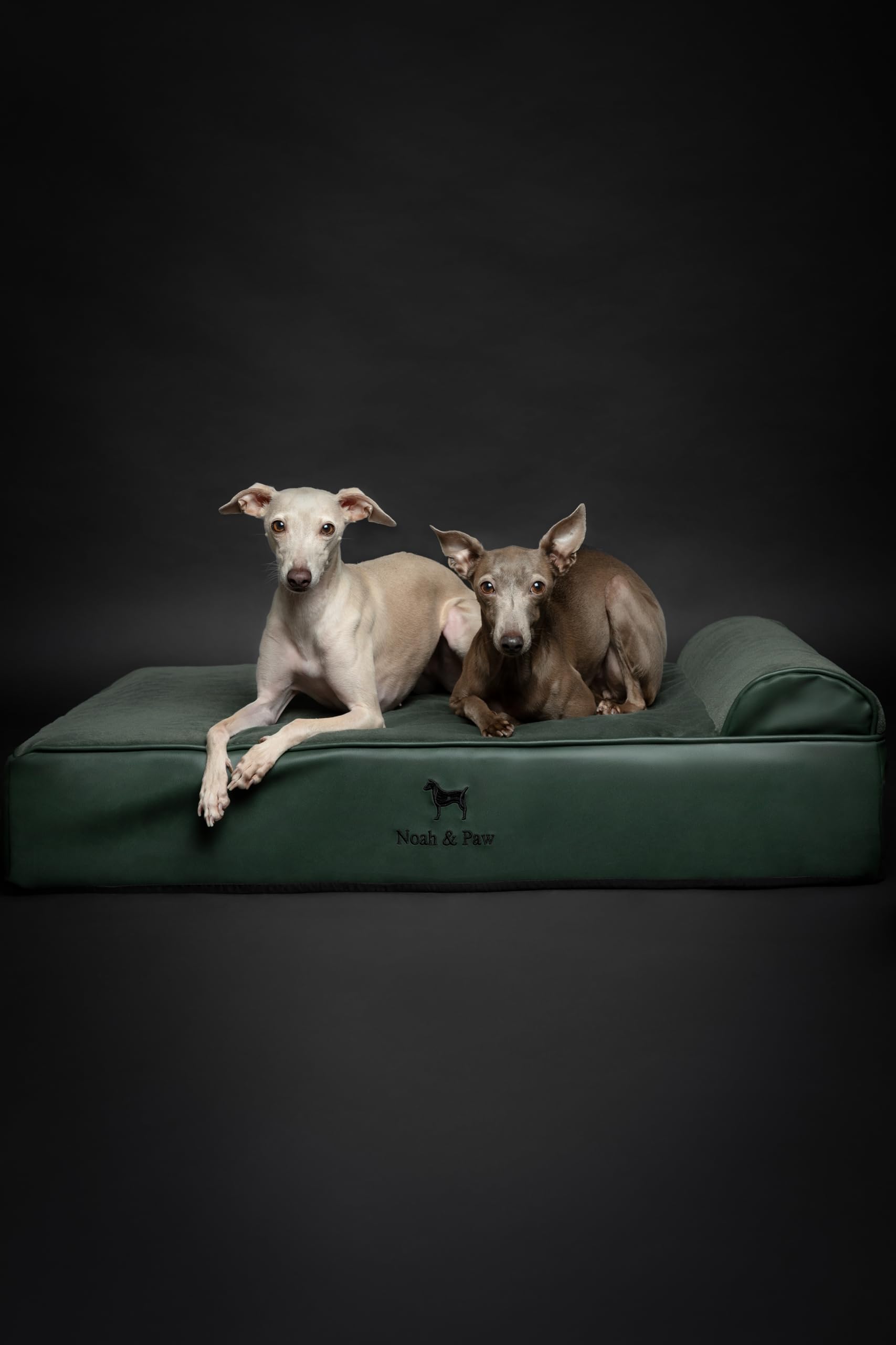 NOAH & PAW Large Dog Bed, 35x25x11 Inch, Orthopedic Dog Beds, Eggshell Memory Foam Infused with Cooling Gel, Waterproof, Machine
