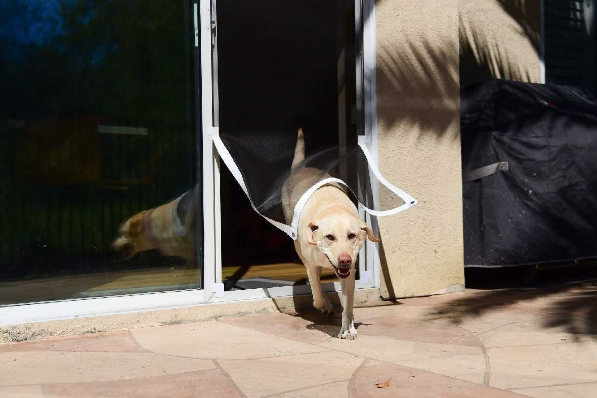 Pet Door Sliding Door Screen Kit | Patio Screen Door Replacement Kit | Dog & Cat Screen Kit for Any Framed Screen | White Tape,