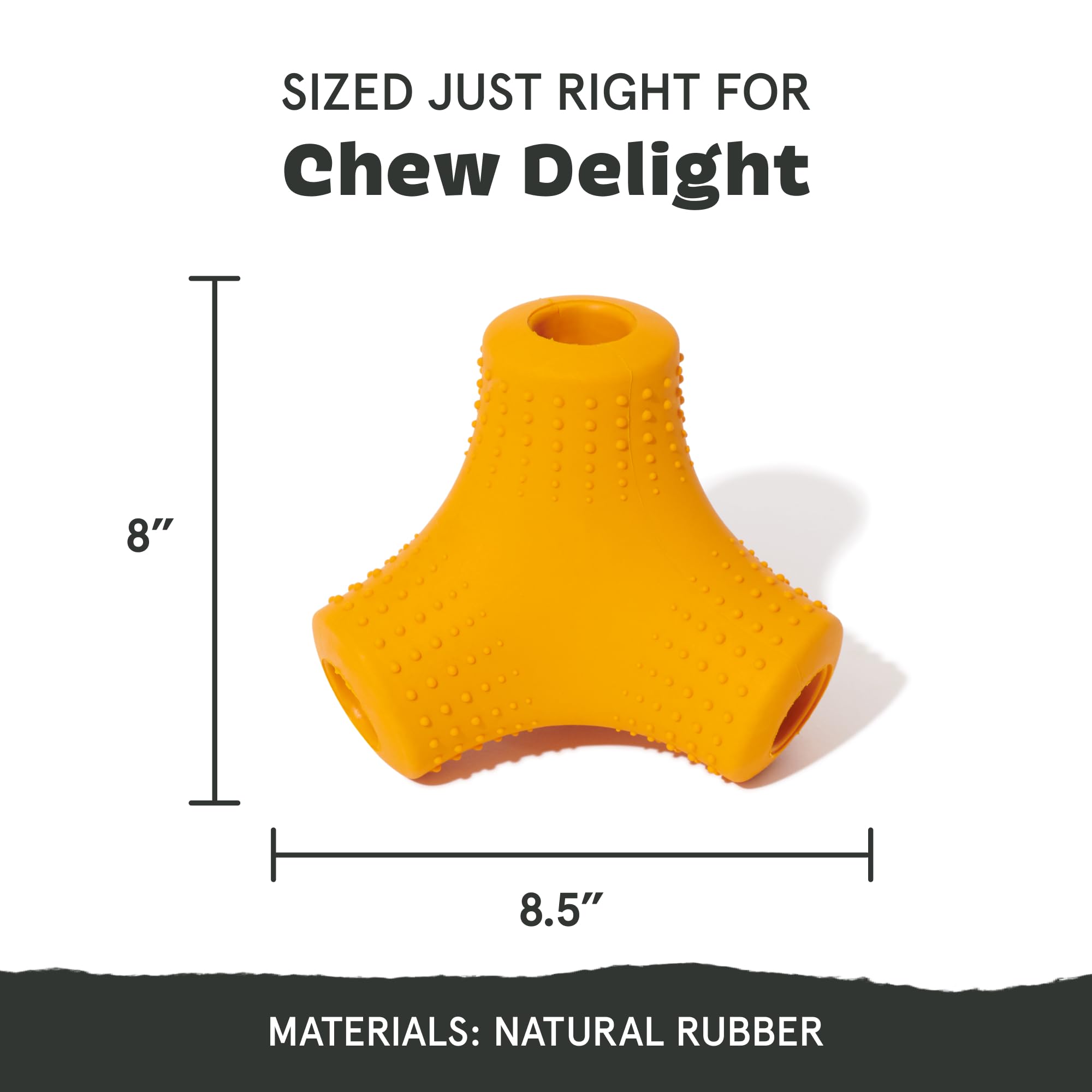 Barkbox Dog Toy for Aggressive Chewers | Coral Teef-Small | Wacky Bounce | Model BARK-208282